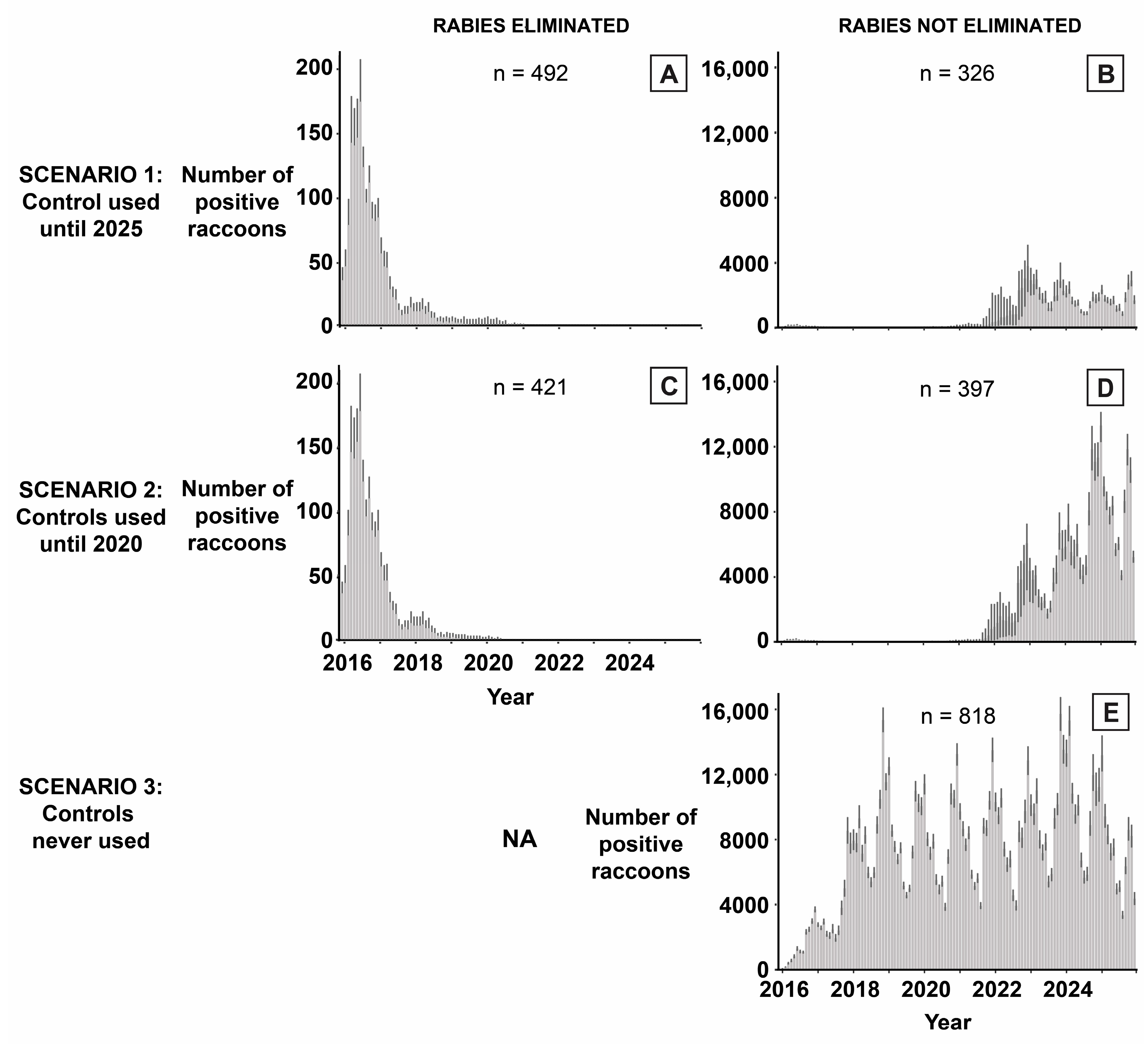 Viruses 15 00528 g002