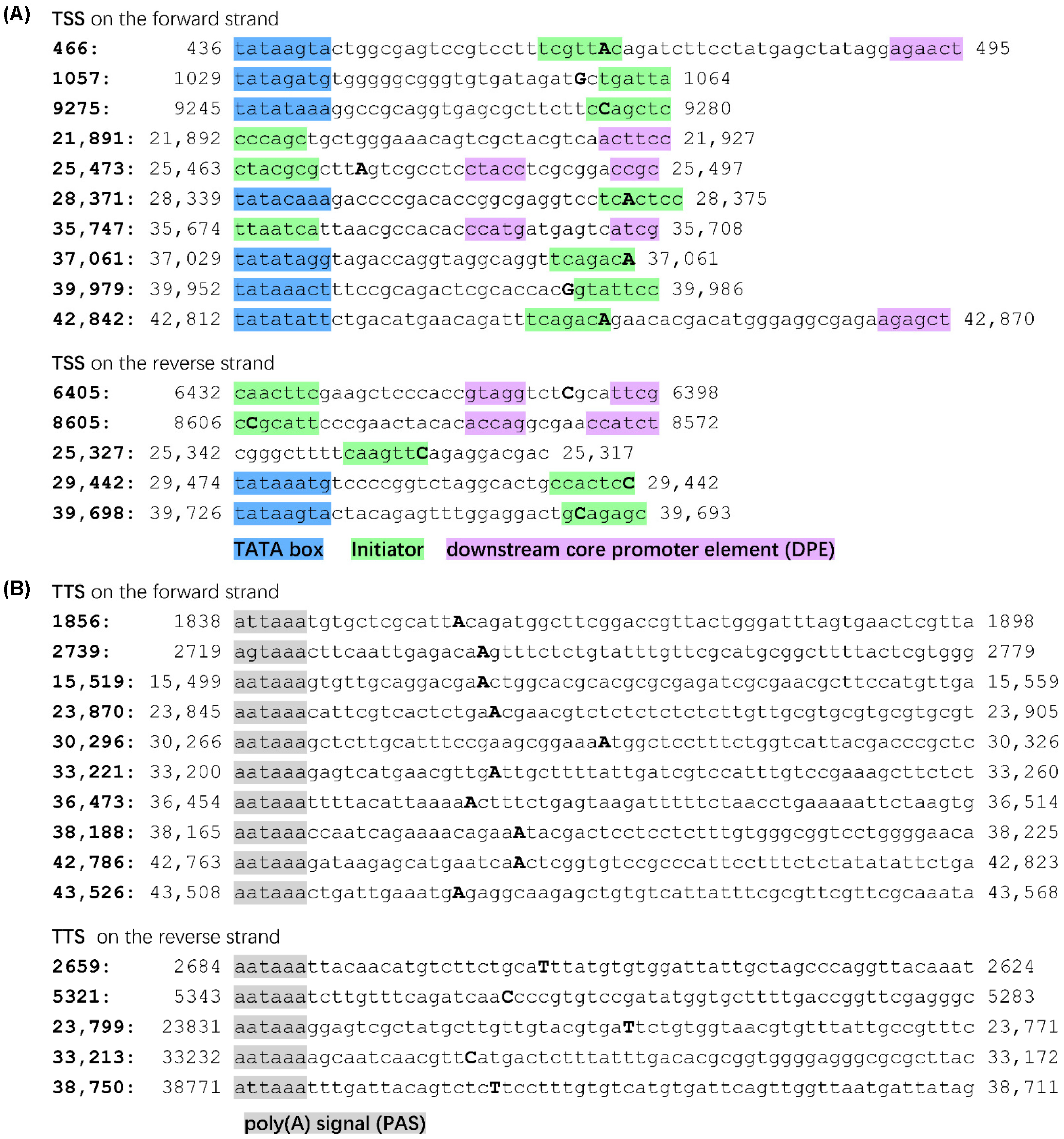 Viruses 15 00529 g003 Viruses 15 00529 g003