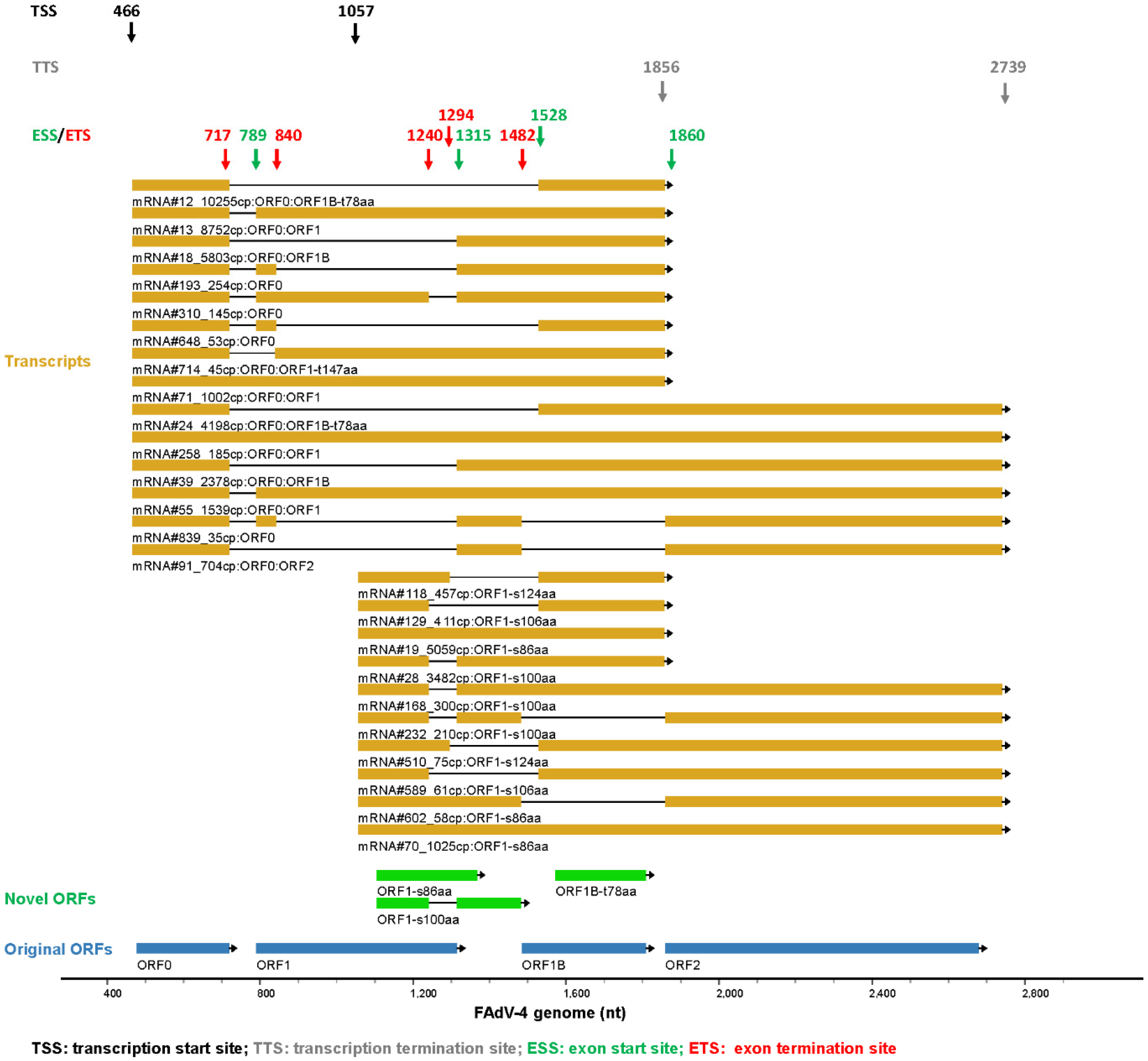 Viruses 15 00529 g004 Viruses 15 00529 g004