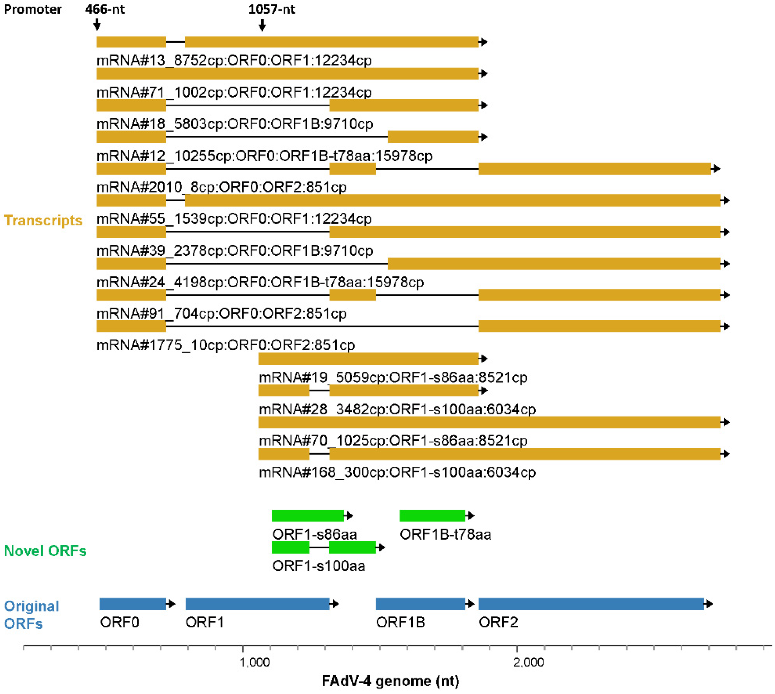 Viruses 15 00529 g005 Viruses 15 00529 g005
