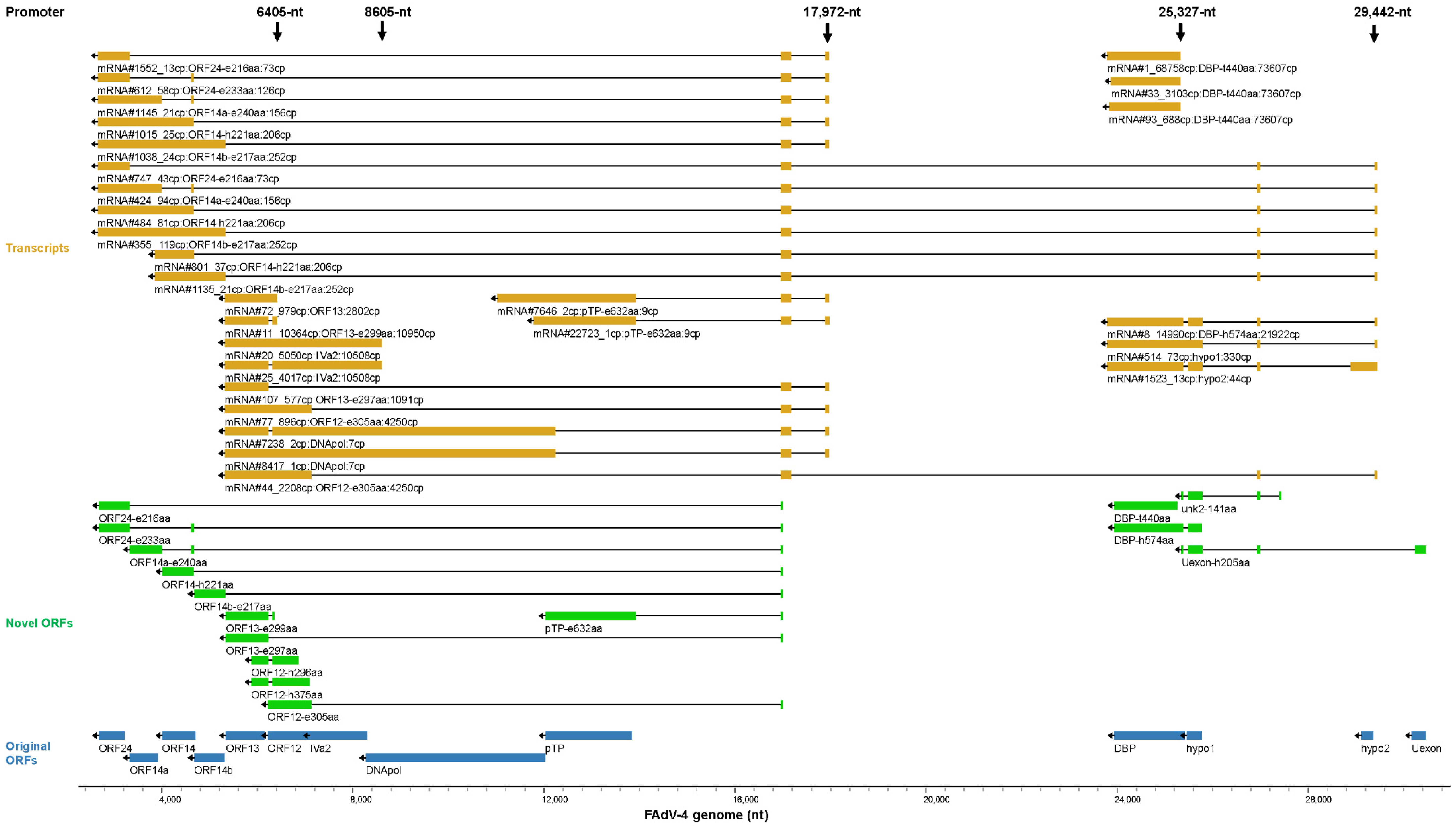 Viruses 15 00529 g008 Viruses 15 00529 g008
