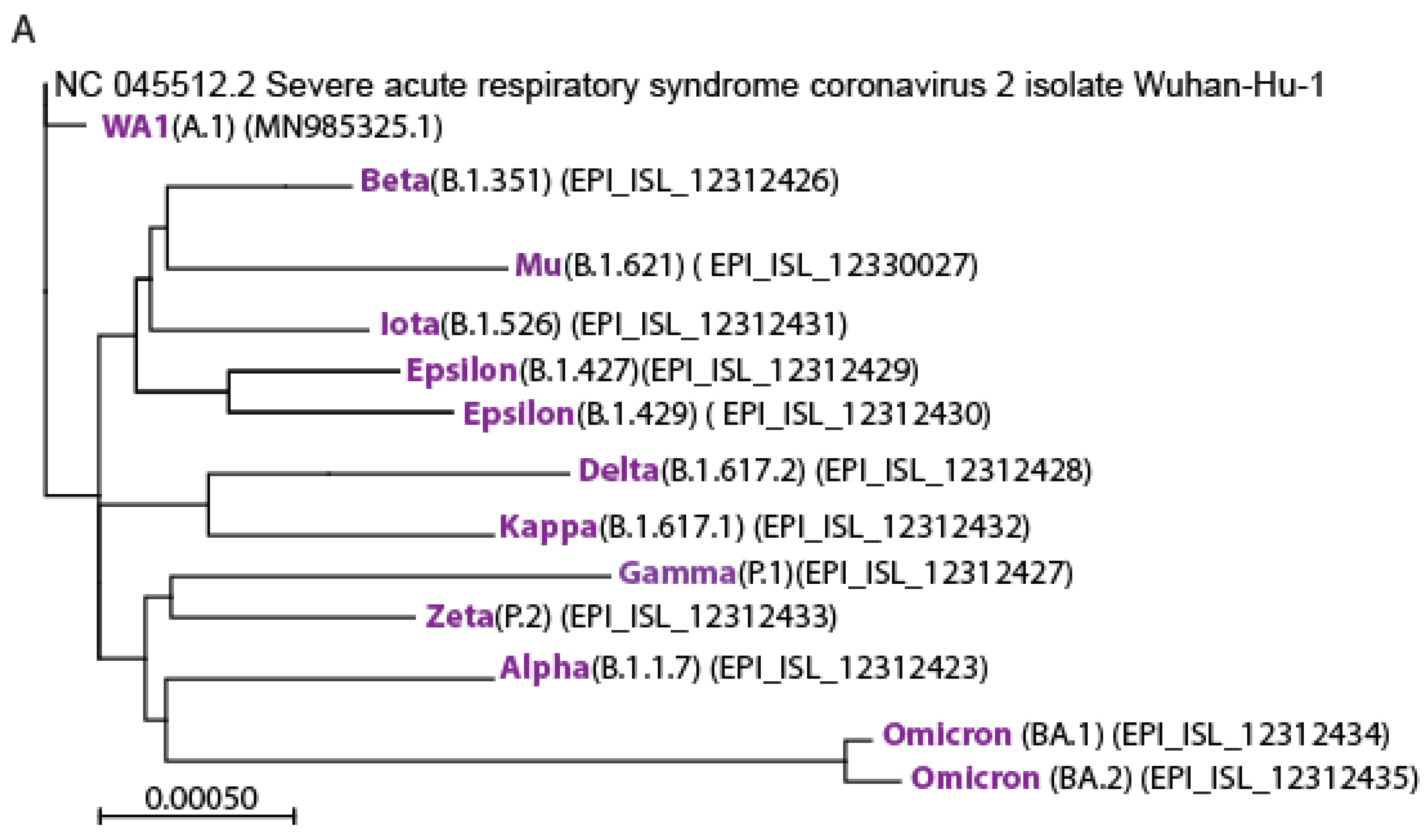 Viruses 15 00530 g001a