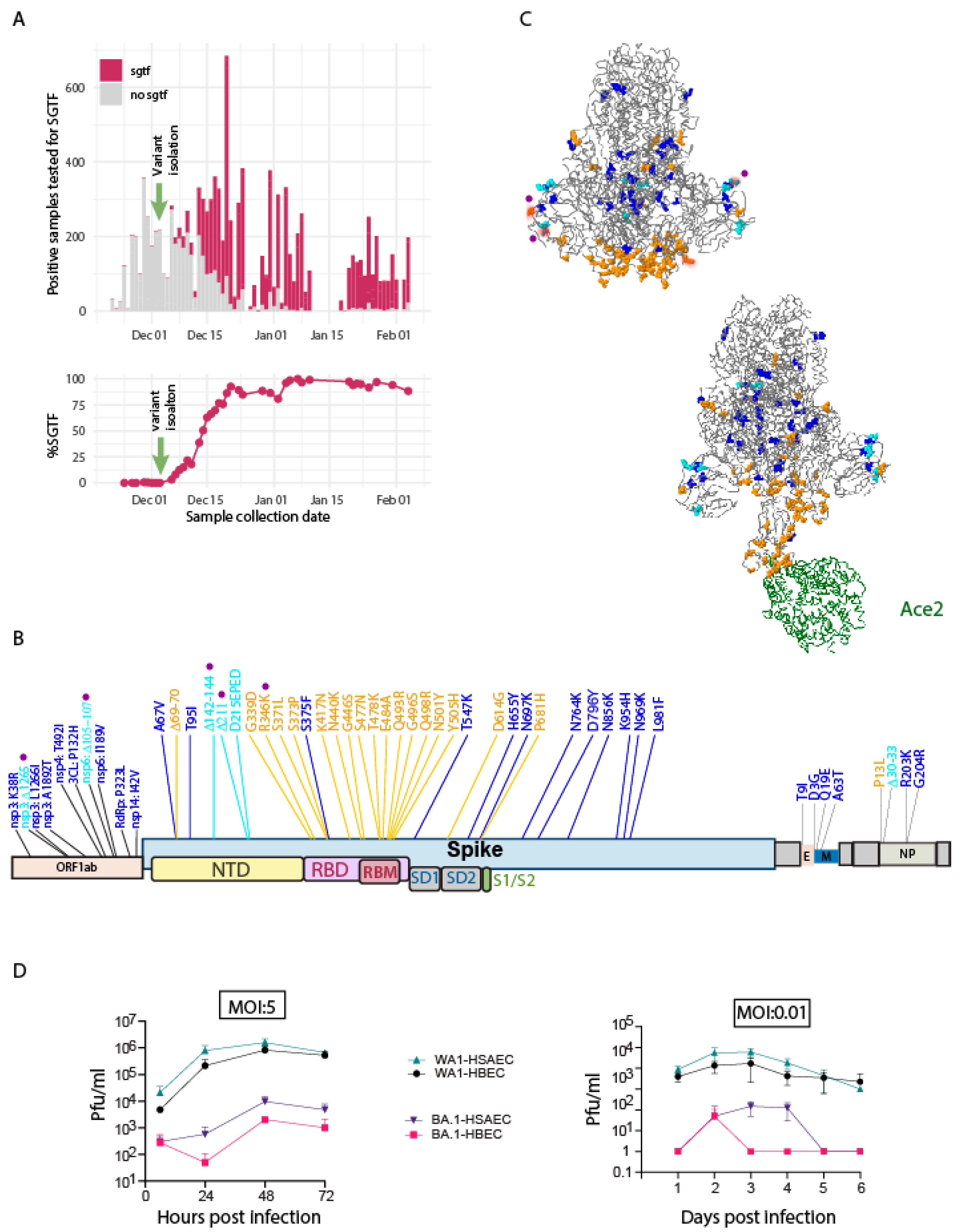 Viruses 15 00530 g002