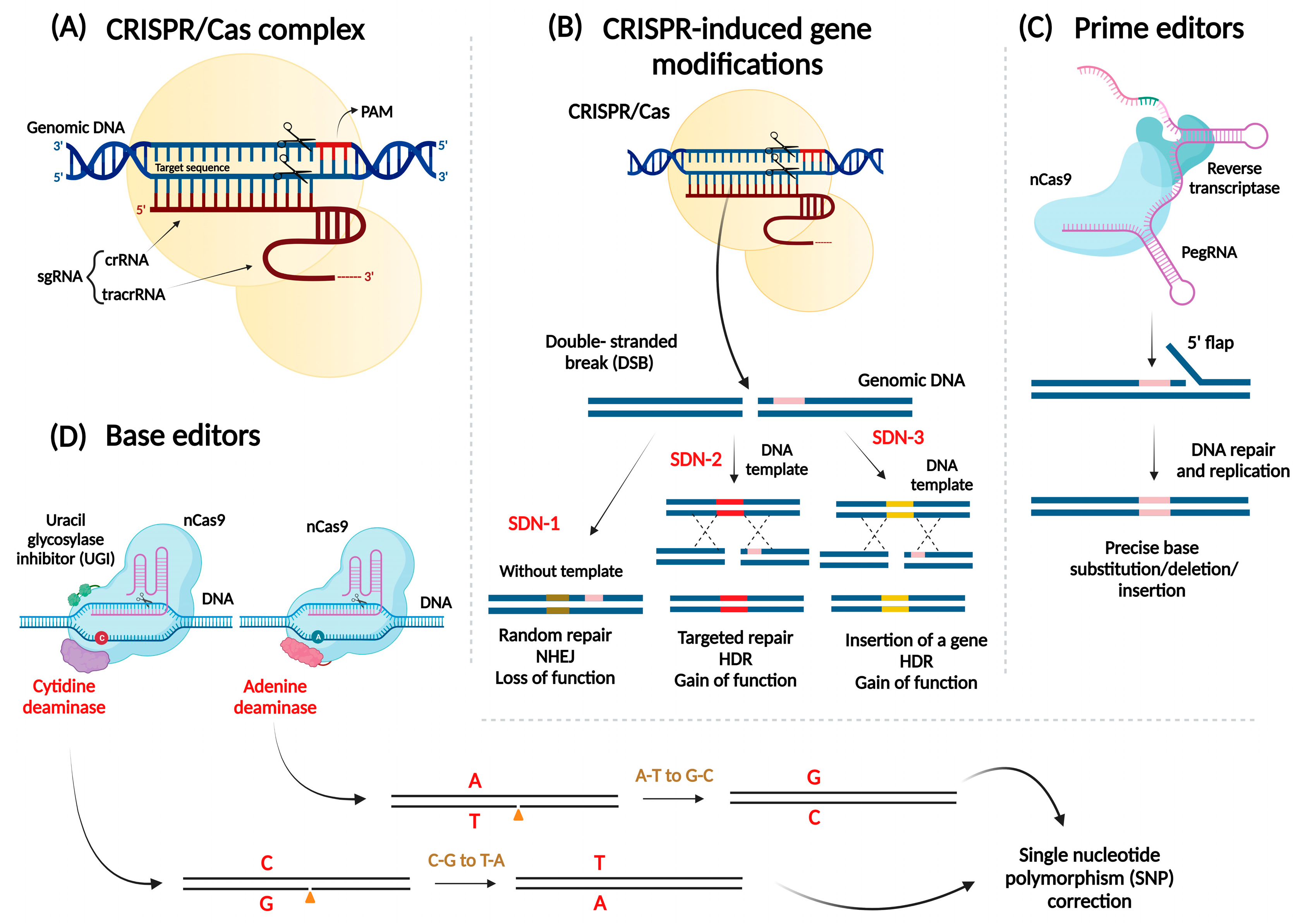 Viruses 15 00531 g001 Viruses 15 00531 g001