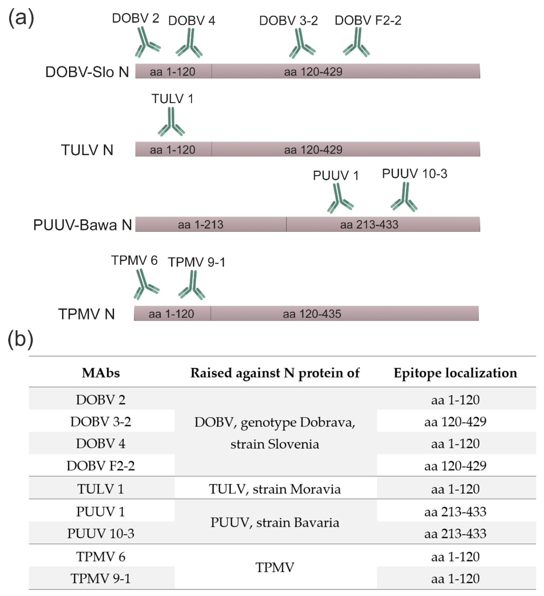Viruses 15 00532 g002 Viruses 15 00532 g002