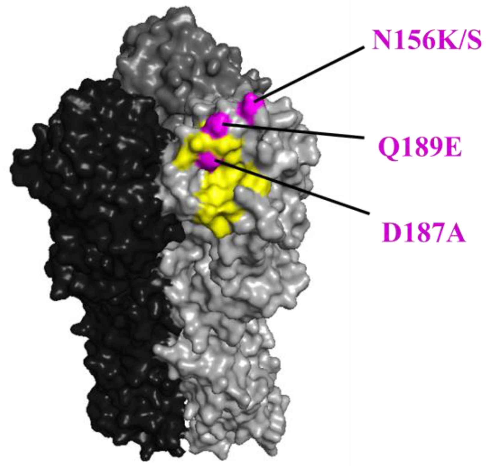 Viruses 15 00535 g002 Viruses 15 00535 g002