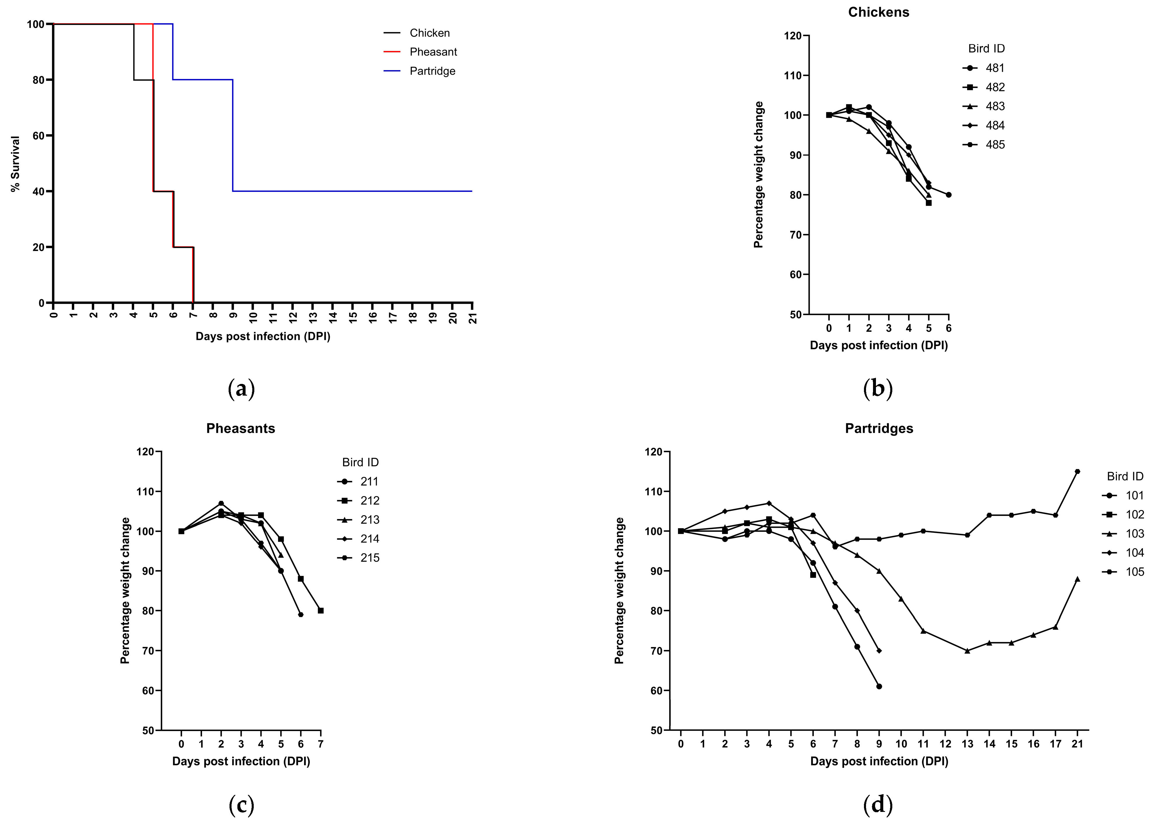 Viruses 15 00536 g001