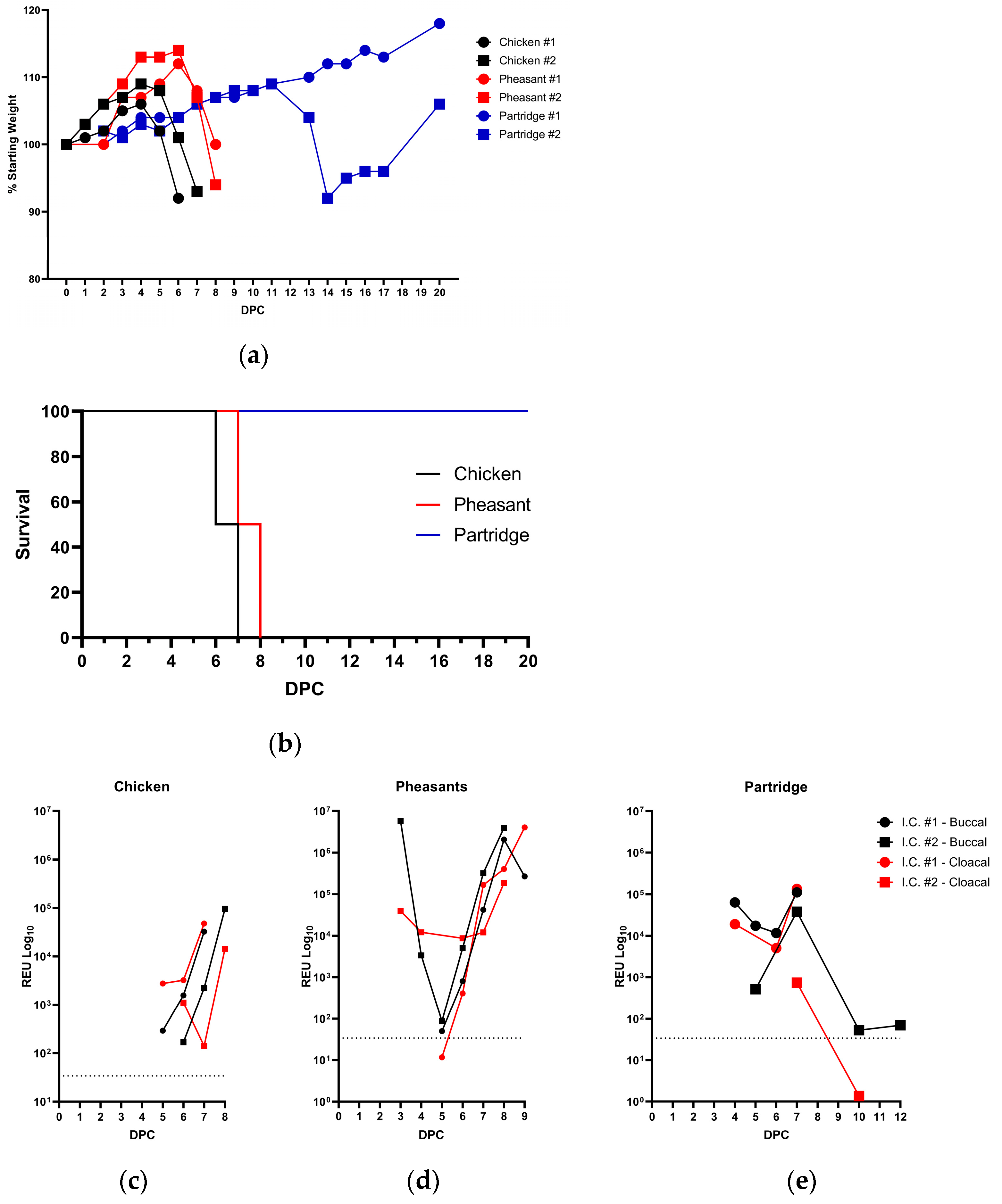 Viruses 15 00536 g004