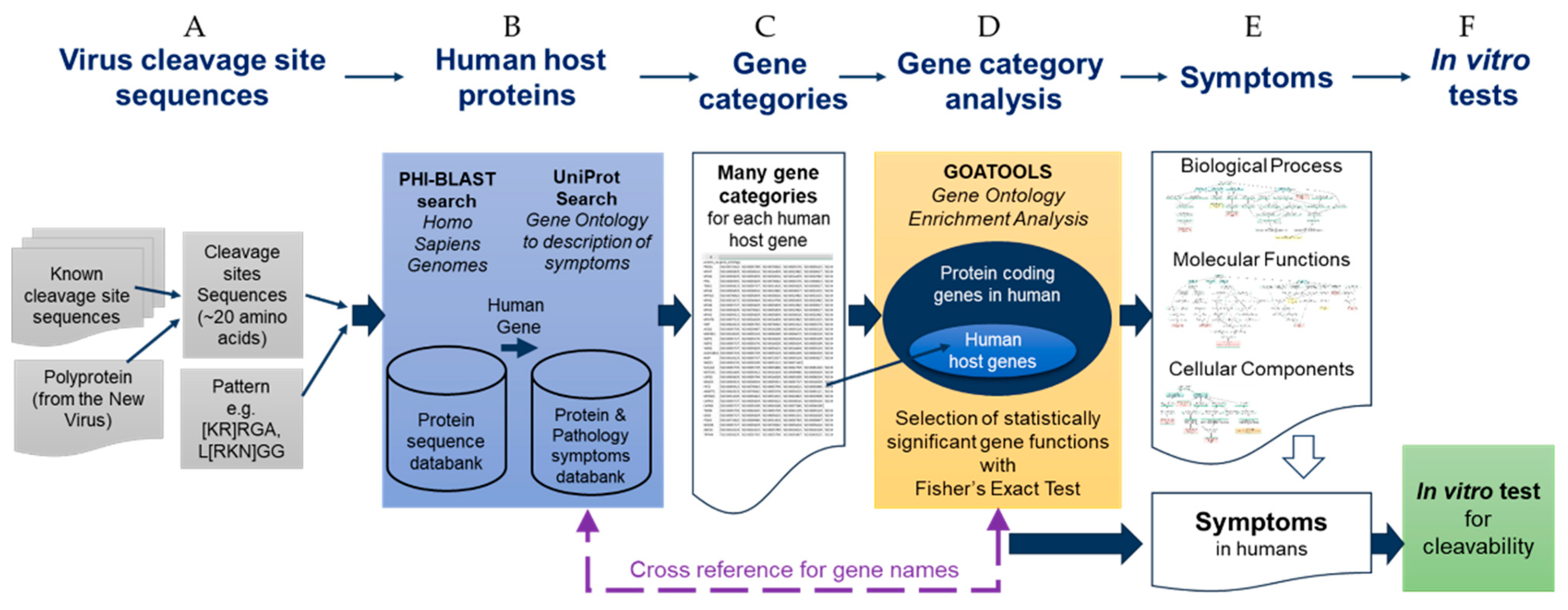Viruses 15 00542 g001 Viruses 15 00542 g001