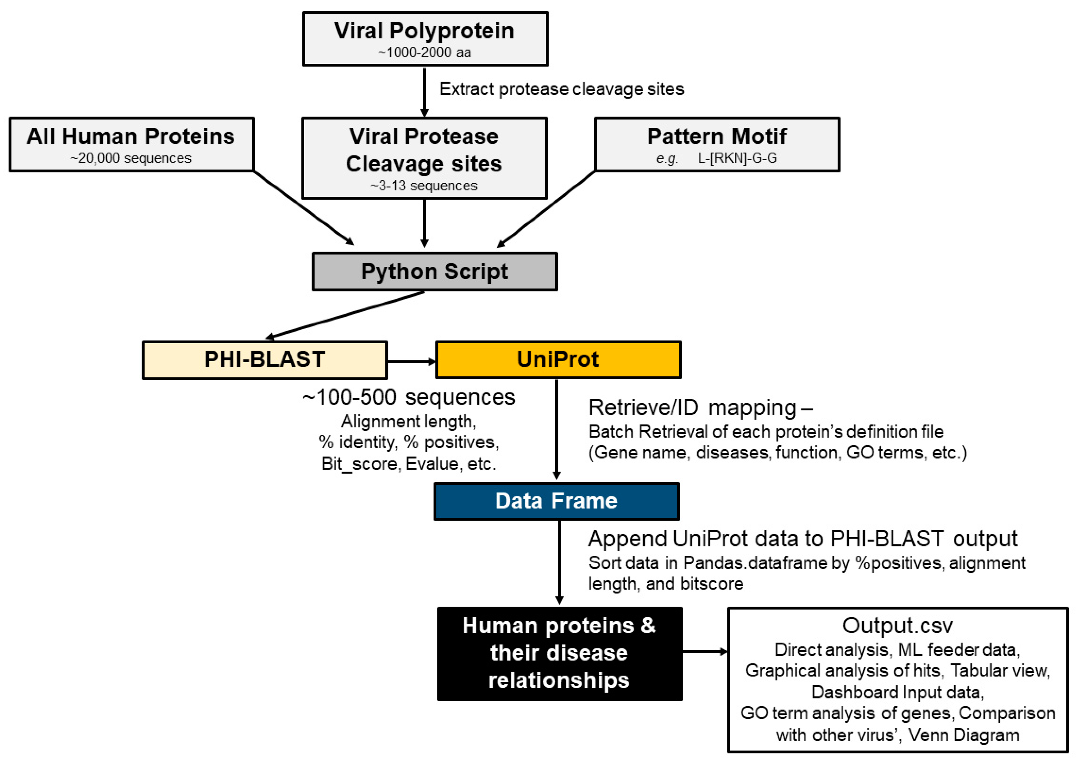 Viruses 15 00542 g002 Viruses 15 00542 g002