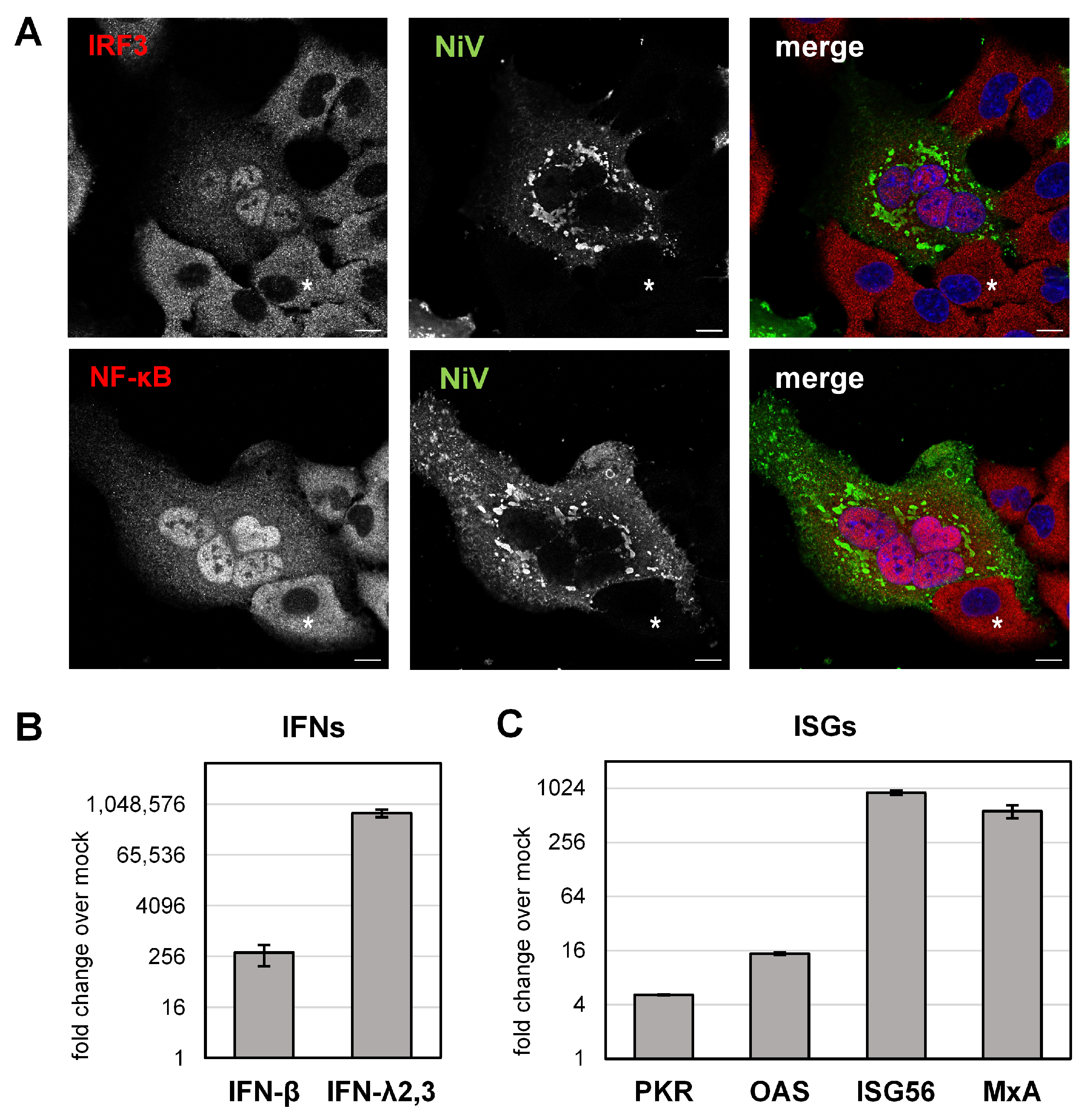 Viruses 15 00554 g005 Viruses 15 00554 g005