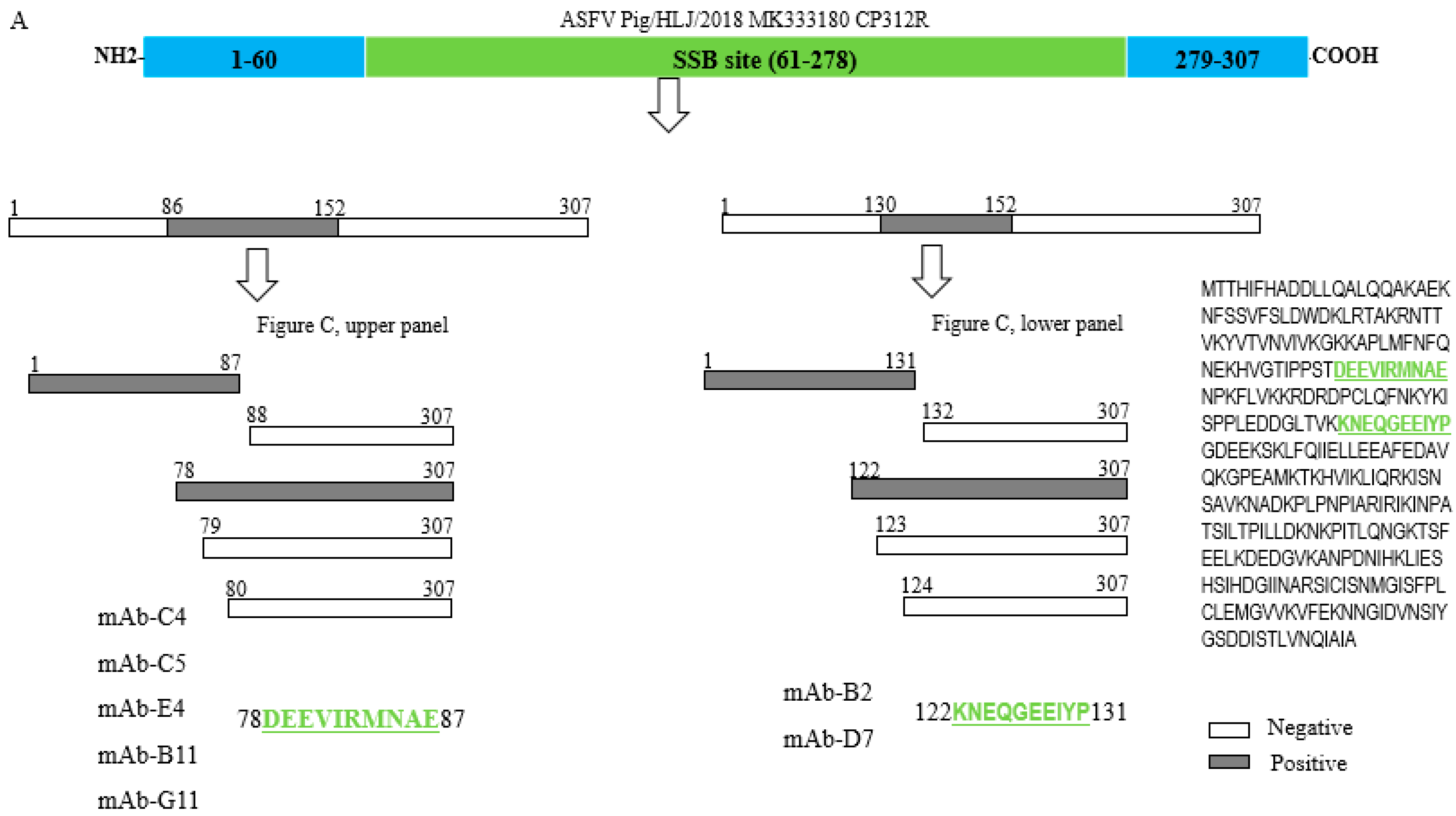 Viruses 15 00557 g004a Viruses 15 00557 g004a