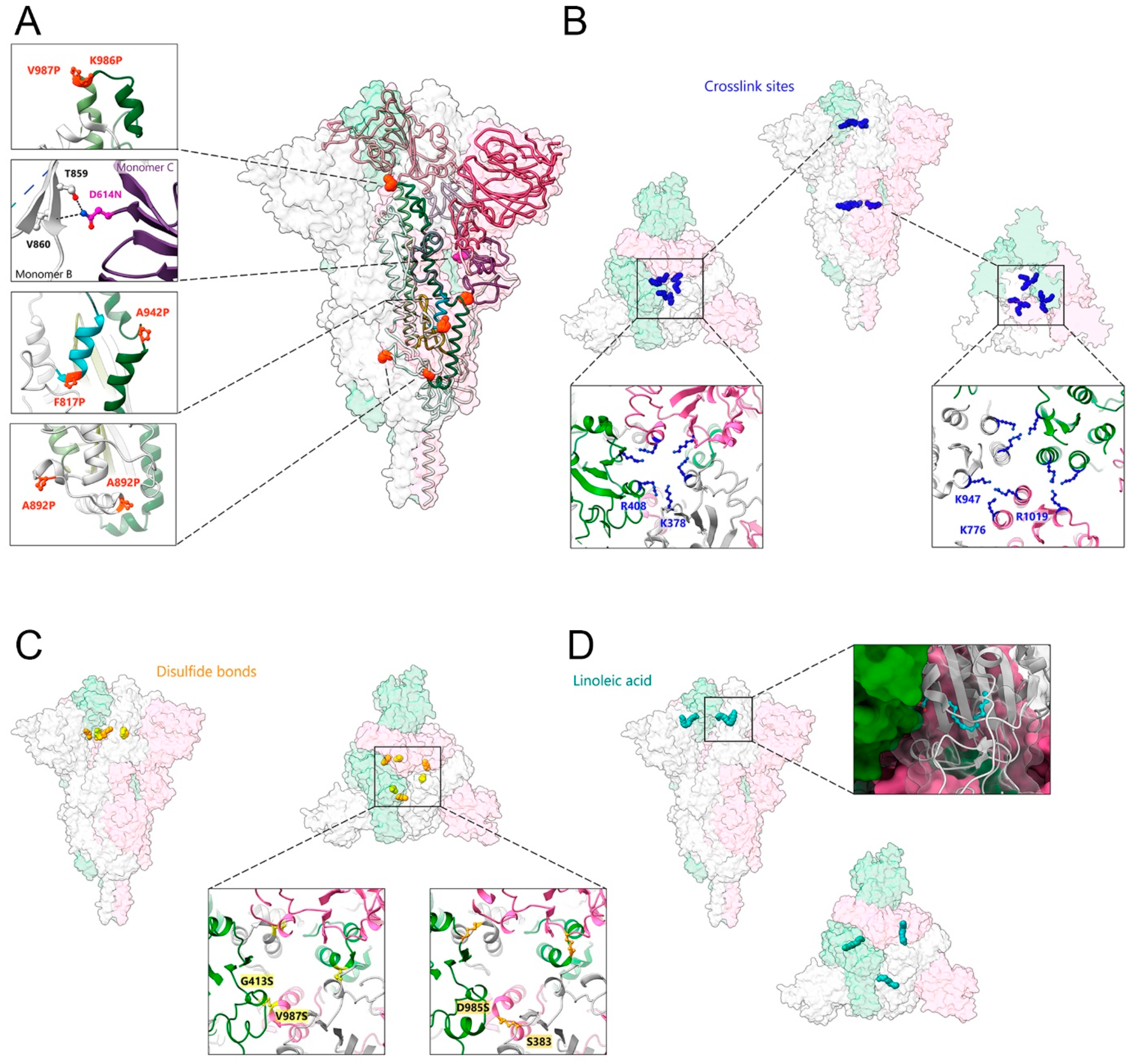 Viruses 15 00558 g002 Viruses 15 00558 g002