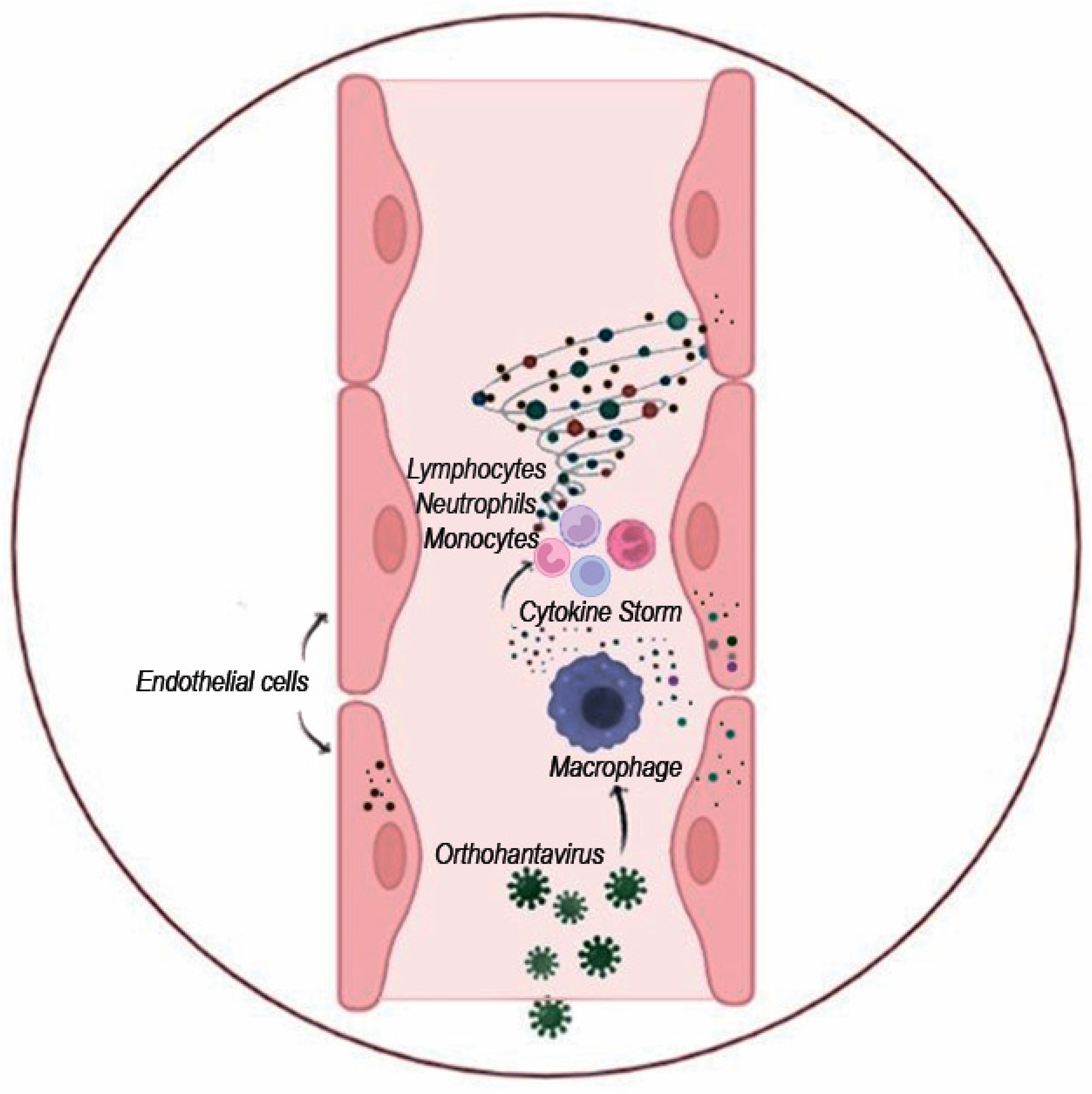 Viruses 15 00561 g005