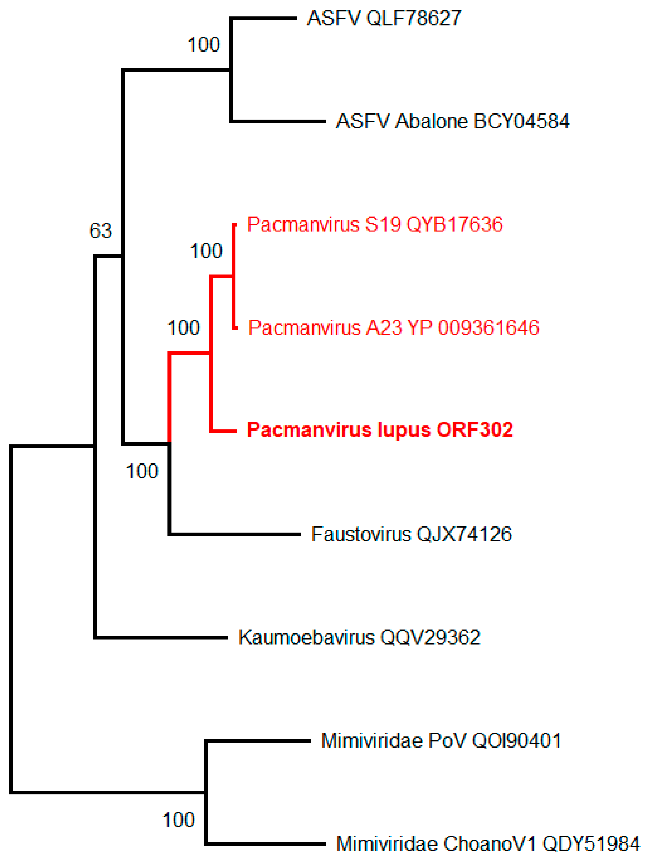 Viruses 15 00564 g003