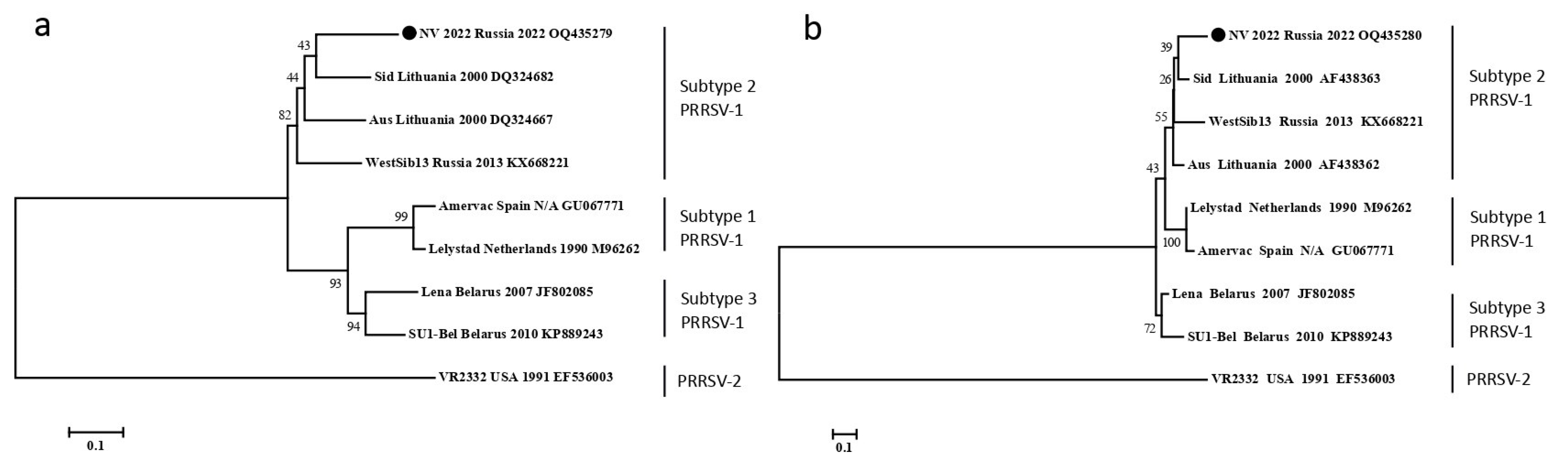 Viruses 15 00565 g002