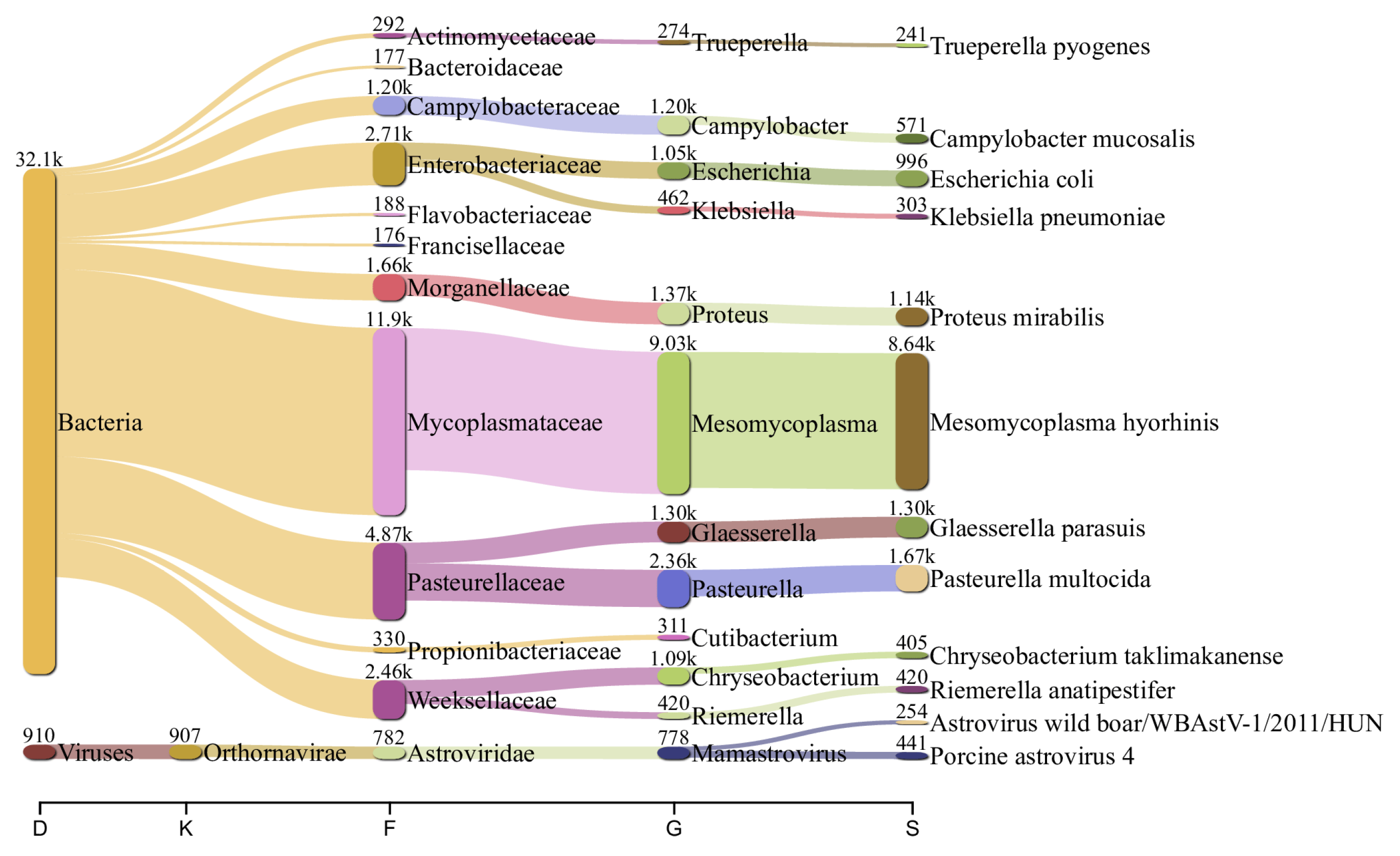 Viruses 15 00565 g003