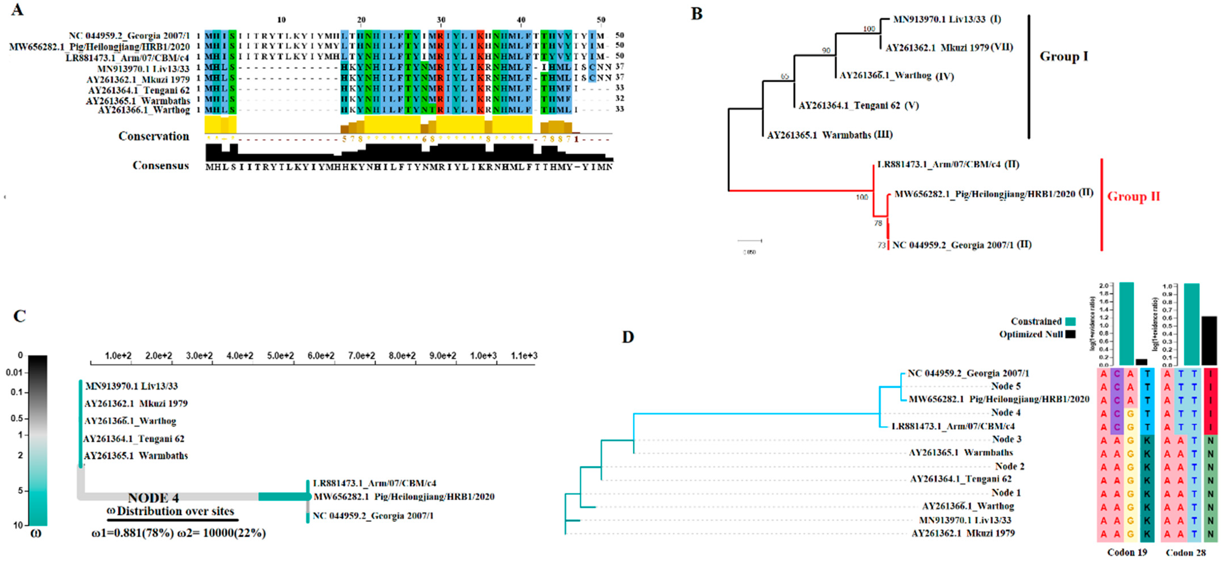 Viruses 15 00566 g001 Viruses 15 00566 g001