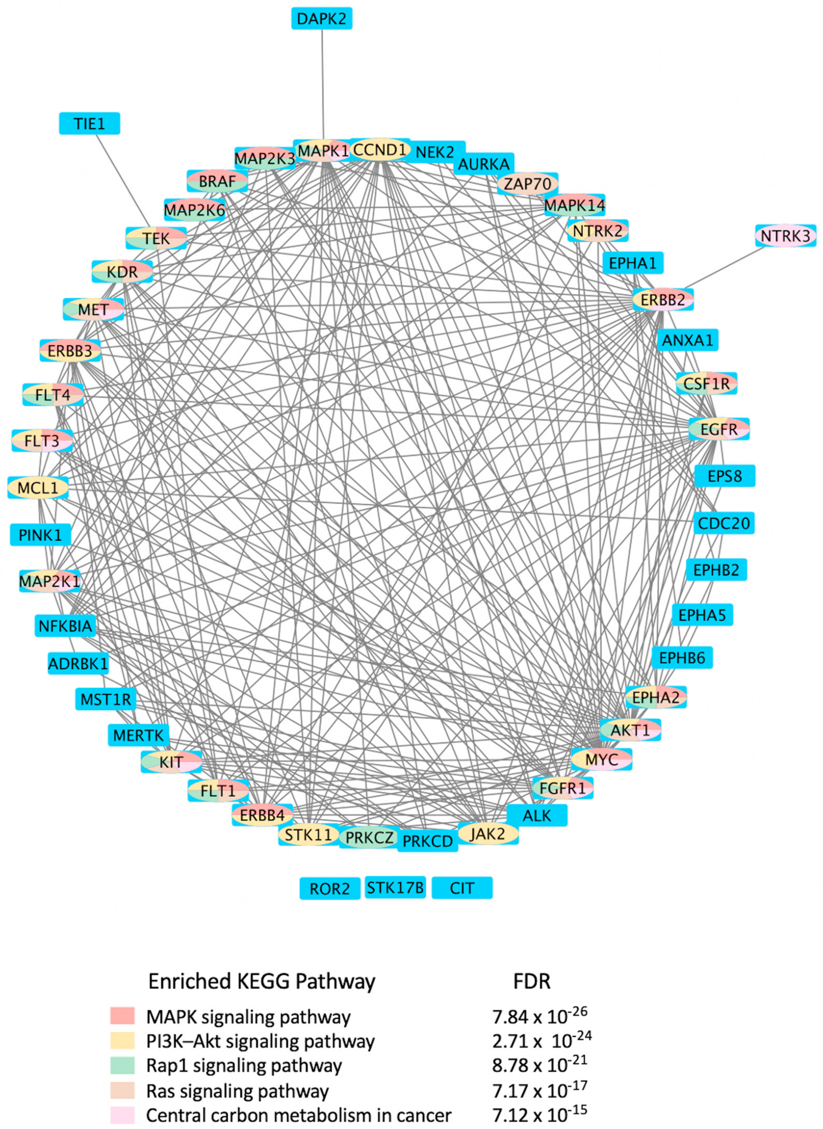 Viruses 15 00568 g004 Viruses 15 00568 g004