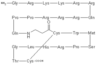 Viruses 15 00568 i002 Viruses 15 00568 i002