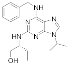 Viruses 15 00568 i016 Viruses 15 00568 i016