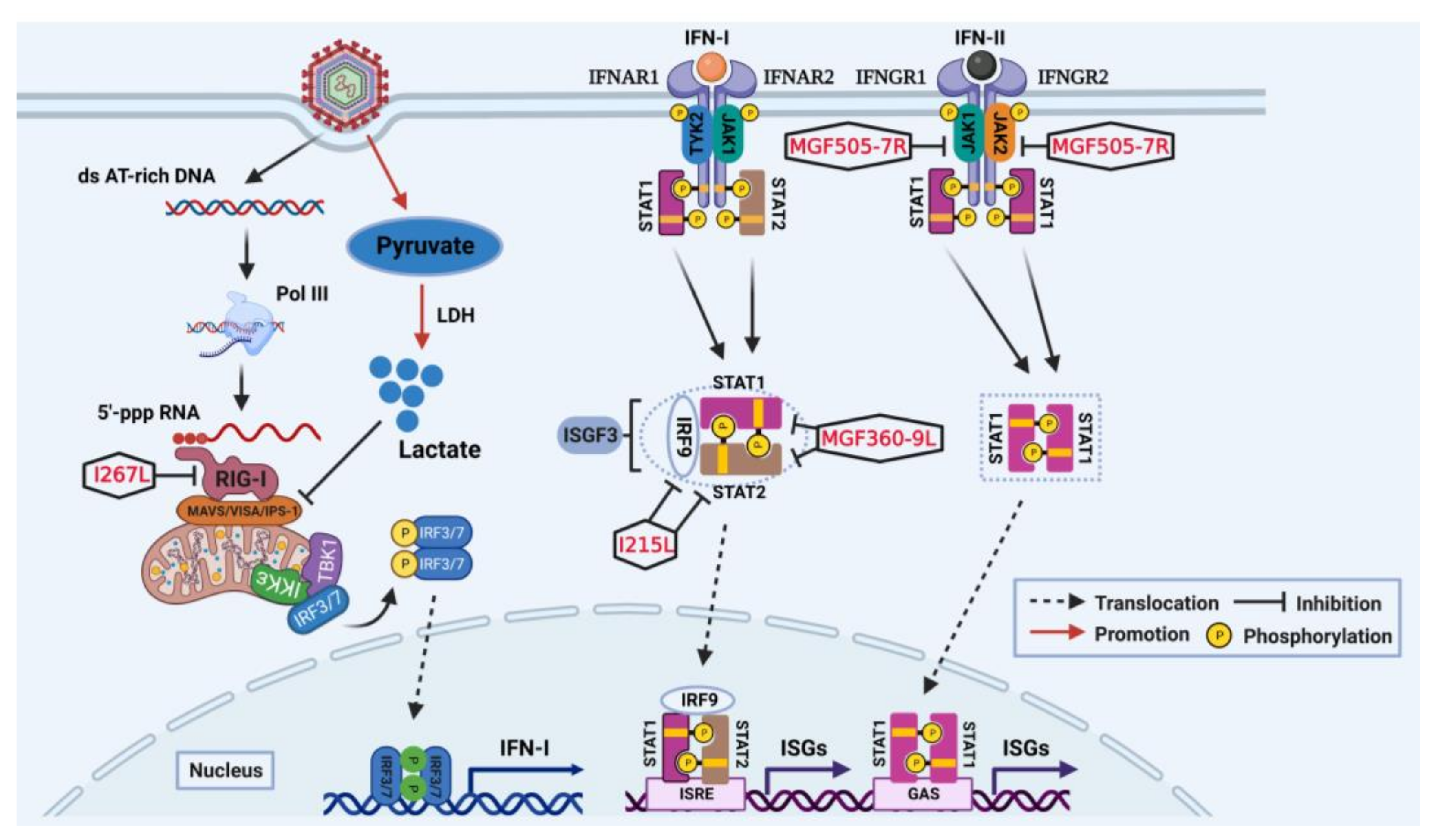Viruses 15 00574 g001
