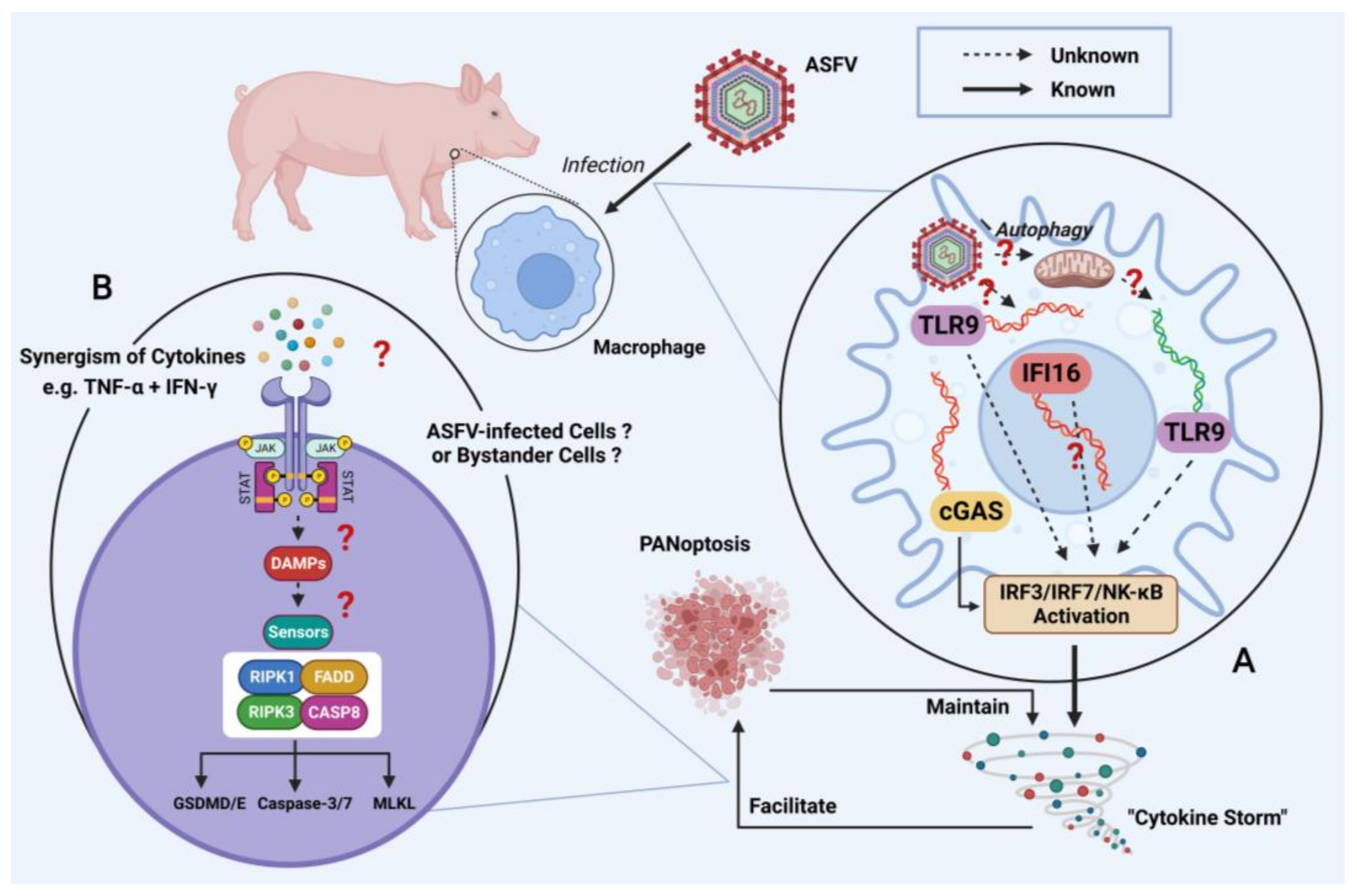 Viruses 15 00574 g003