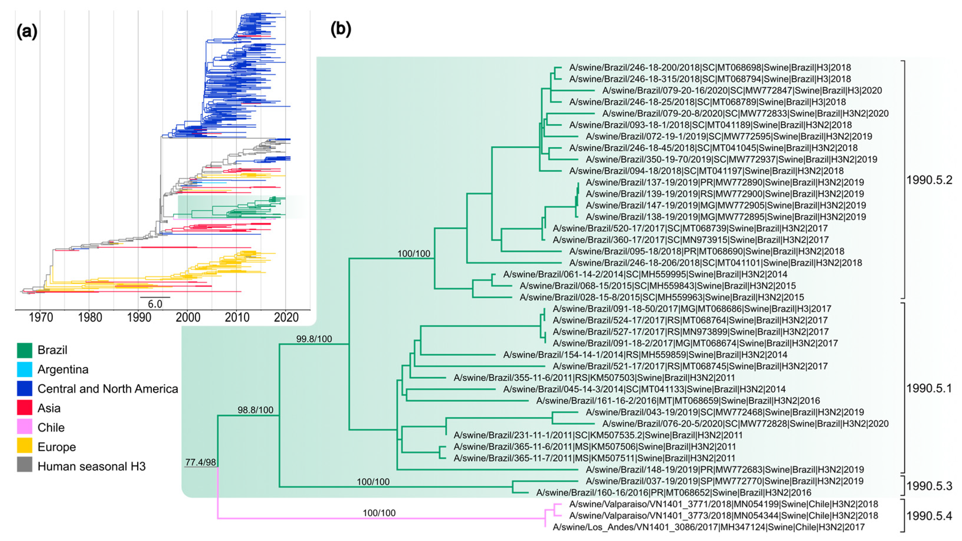 Viruses 15 00576 g003 Viruses 15 00576 g003