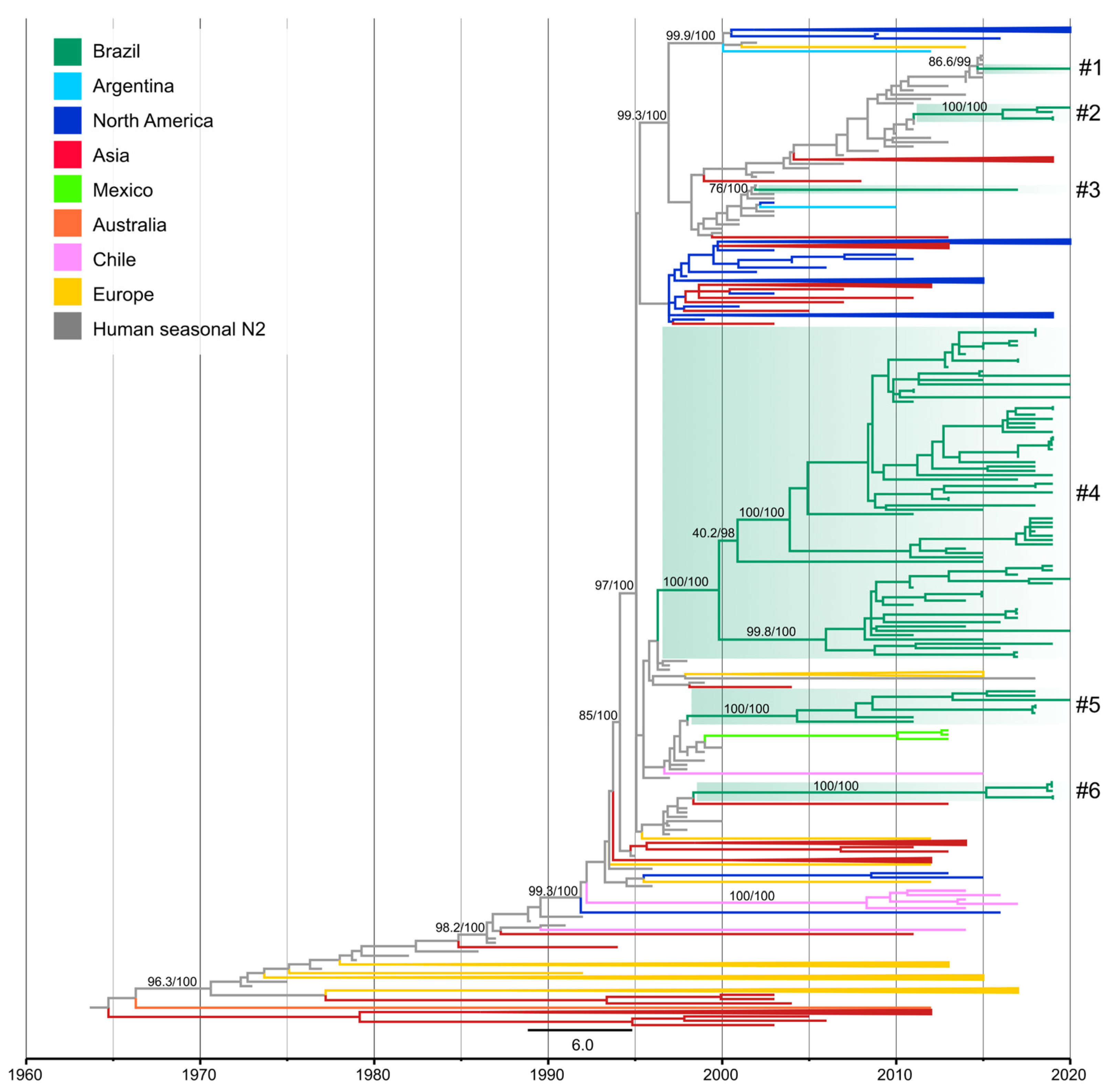 Viruses 15 00576 g004 Viruses 15 00576 g004