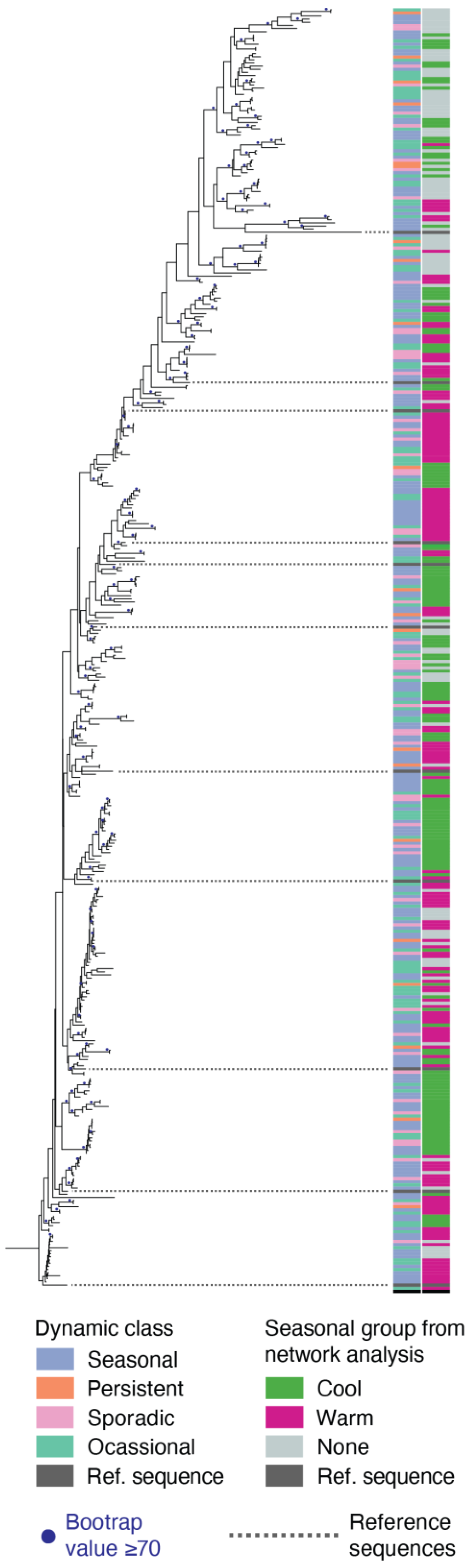 Viruses 15 00581 g007 Viruses 15 00581 g007