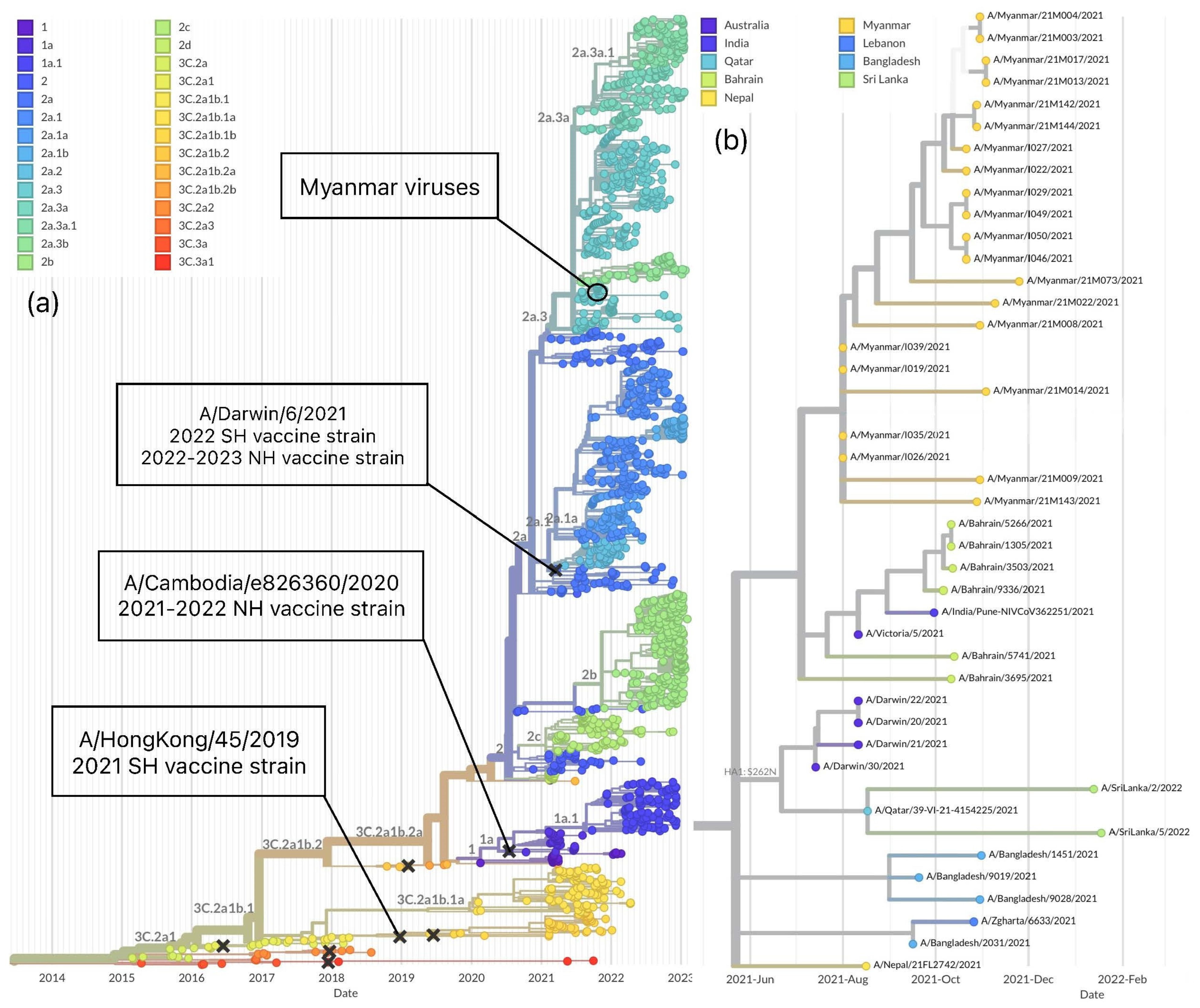 Viruses 15 00583 g002 Viruses 15 00583 g002