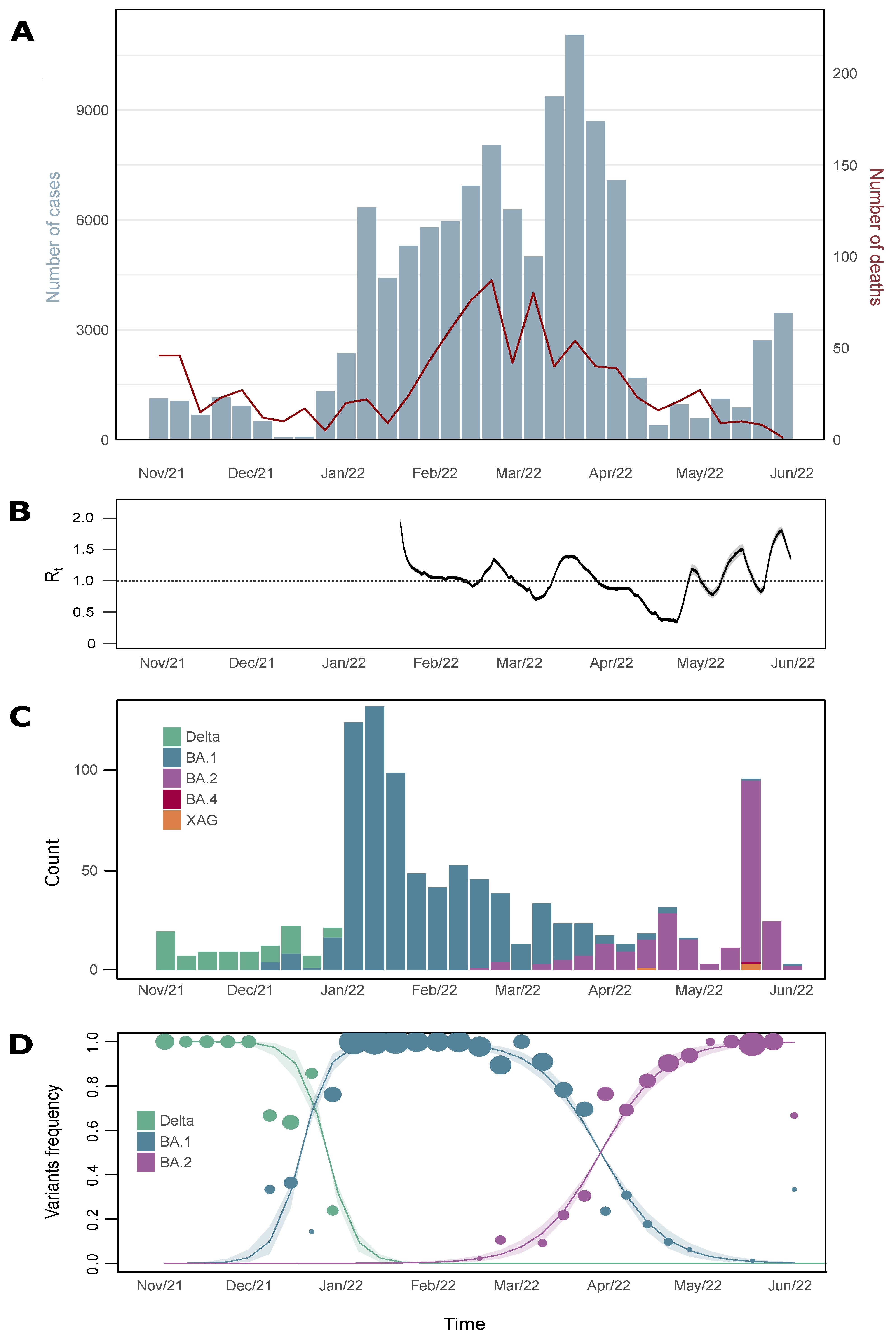 Viruses 15 00585 g001