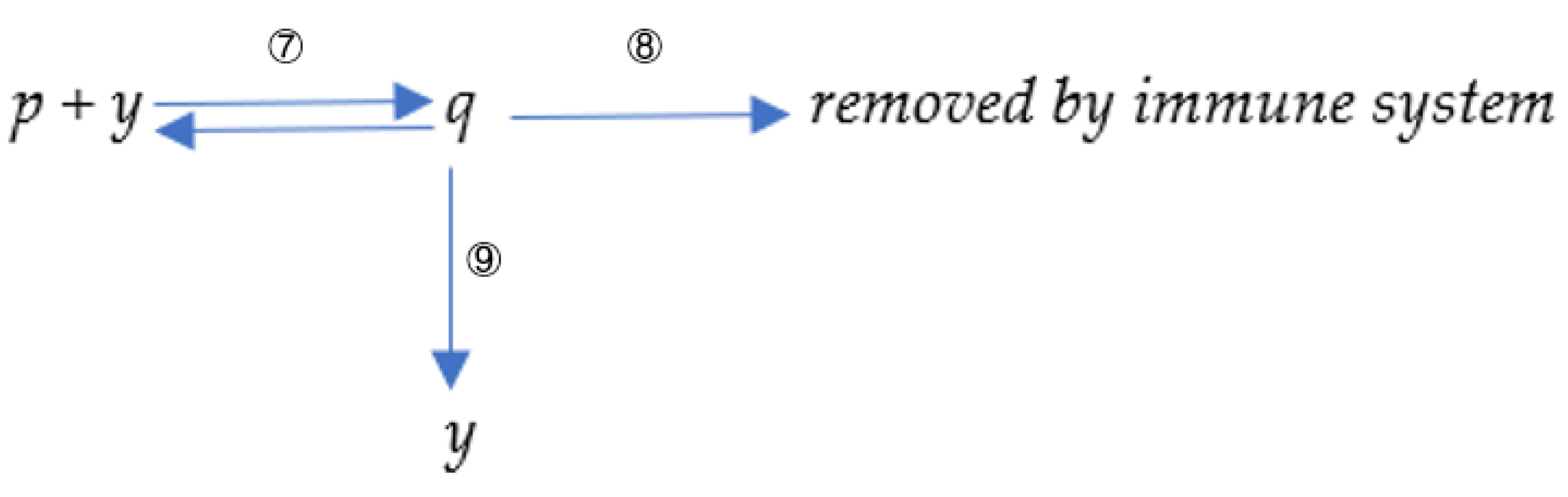 Viruses 15 00586 g002 Viruses 15 00586 g002