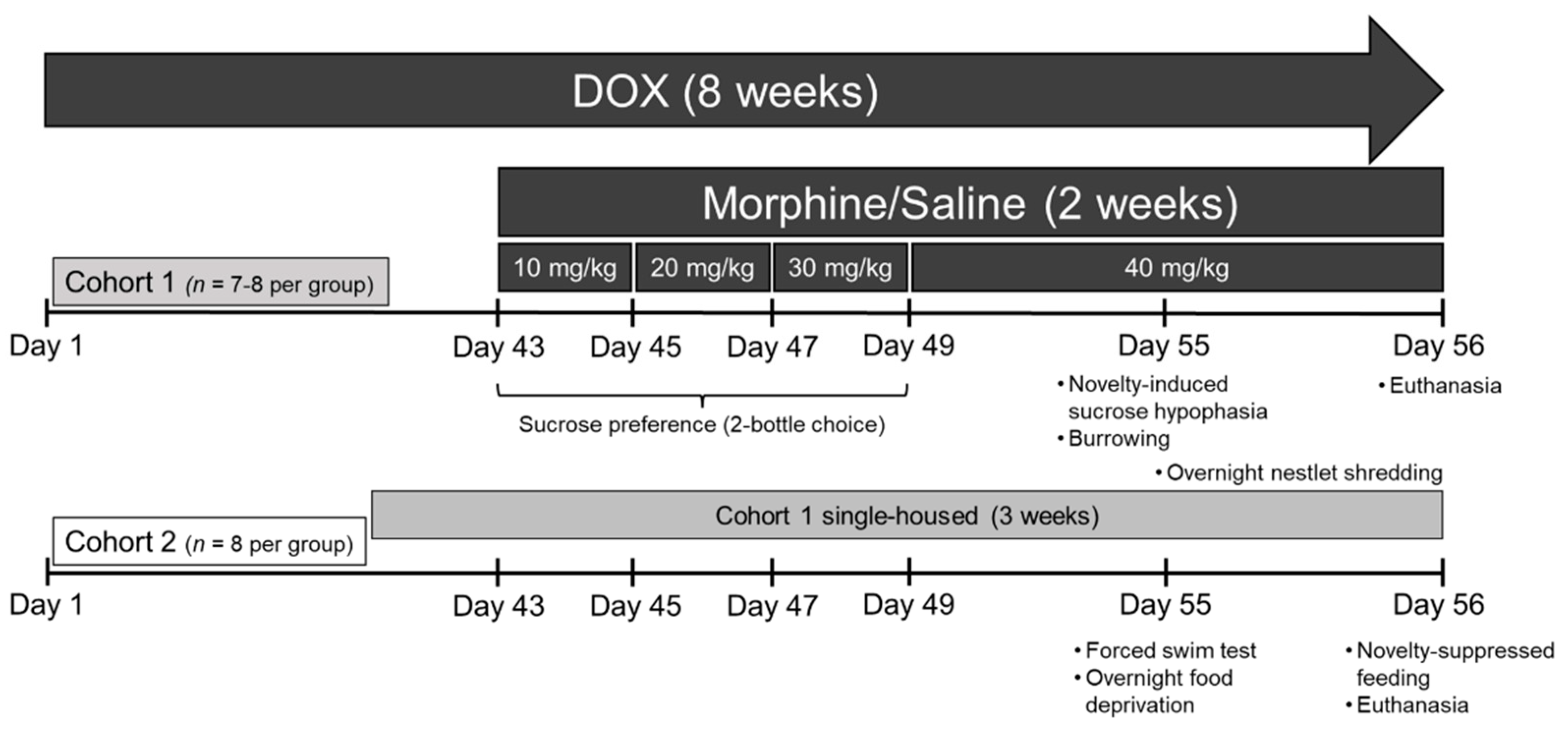 Viruses 15 00590 g001 Viruses 15 00590 g001