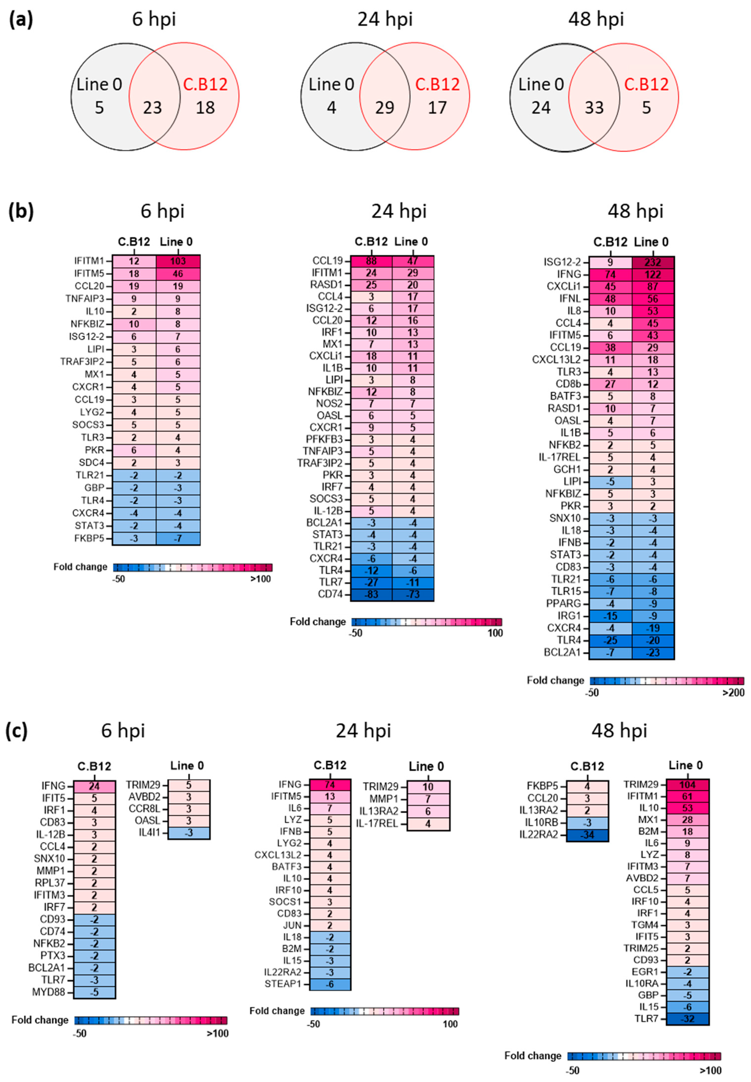 Viruses 15 00591 g007