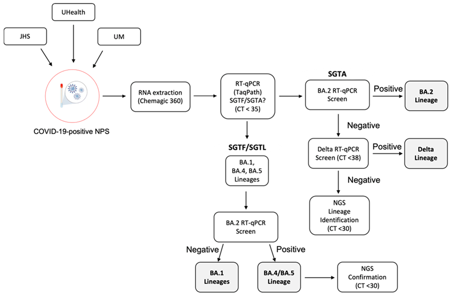 Viruses 15 00593 g004