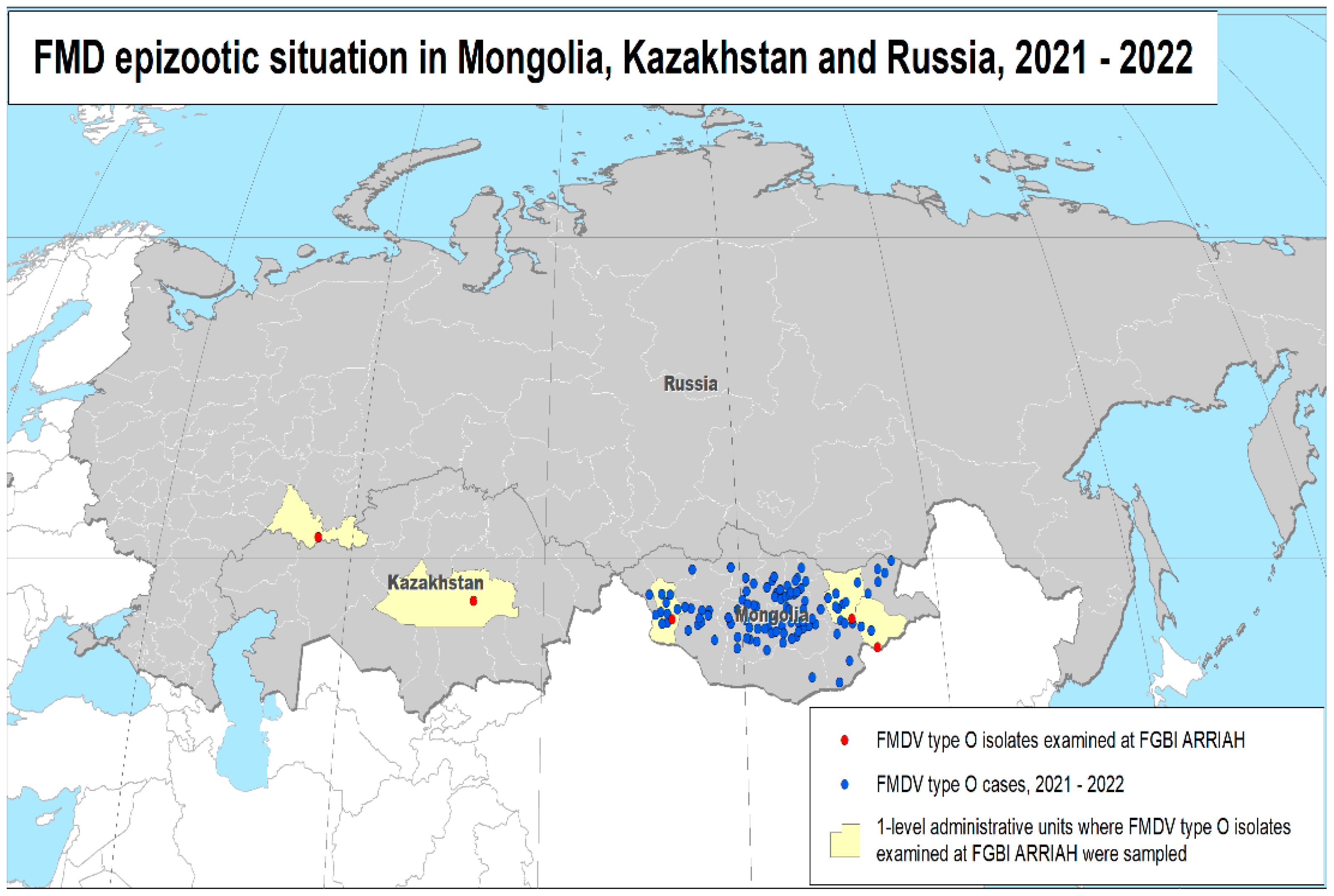 Viruses 15 00598 g002