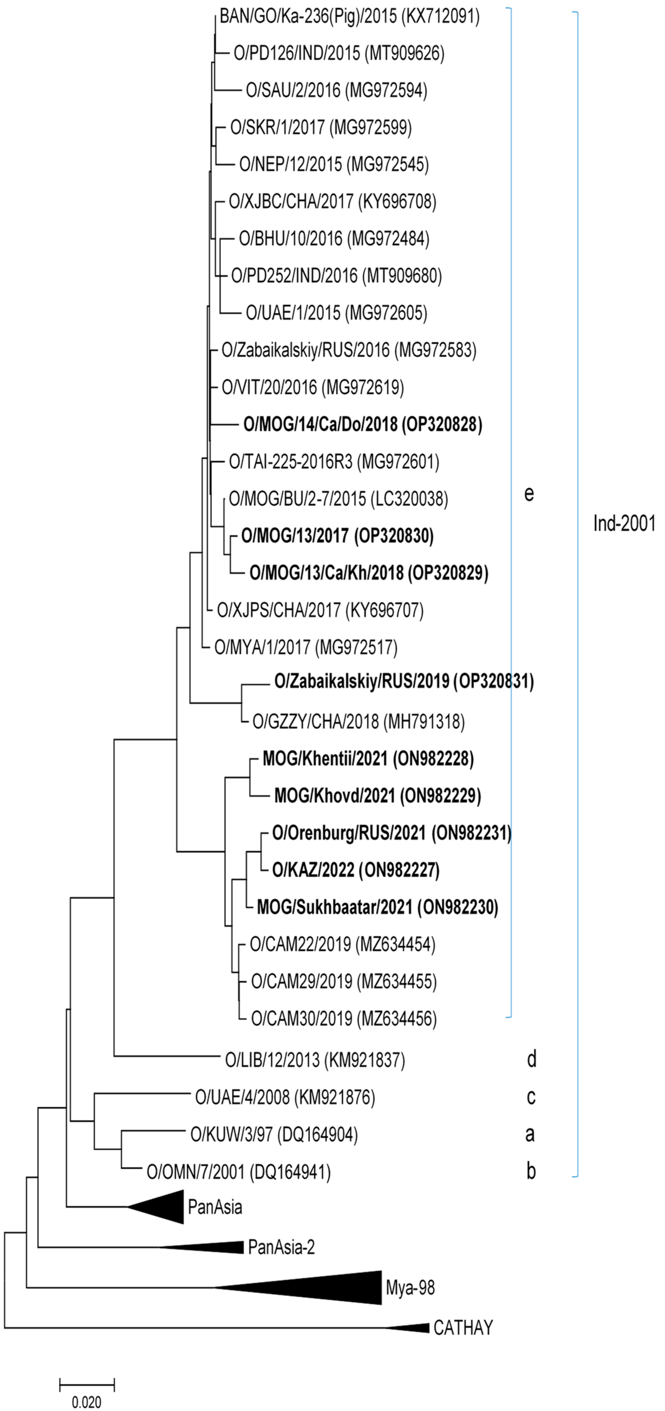 Viruses 15 00598 g004