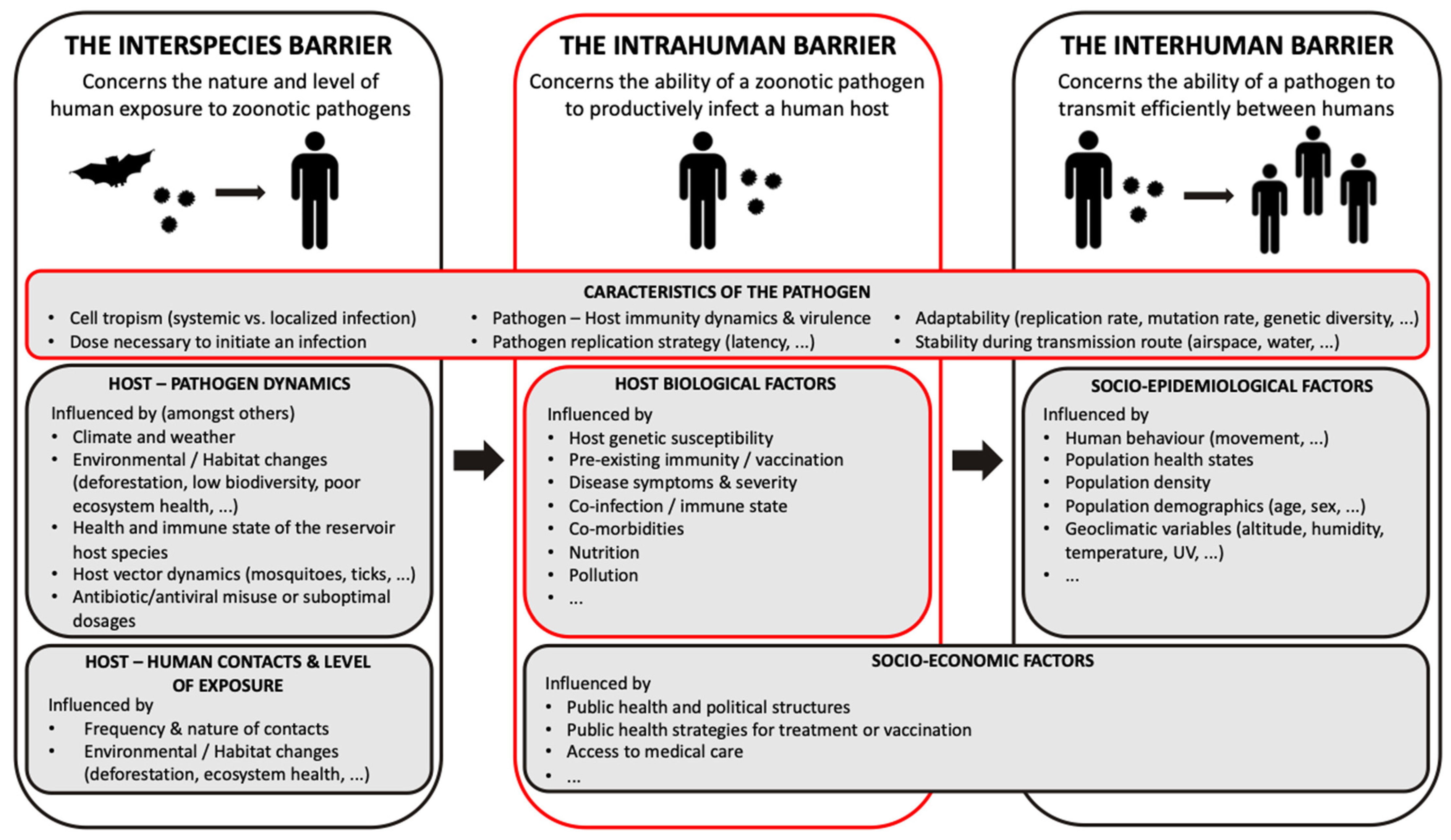 Viruses 15 00599 g001