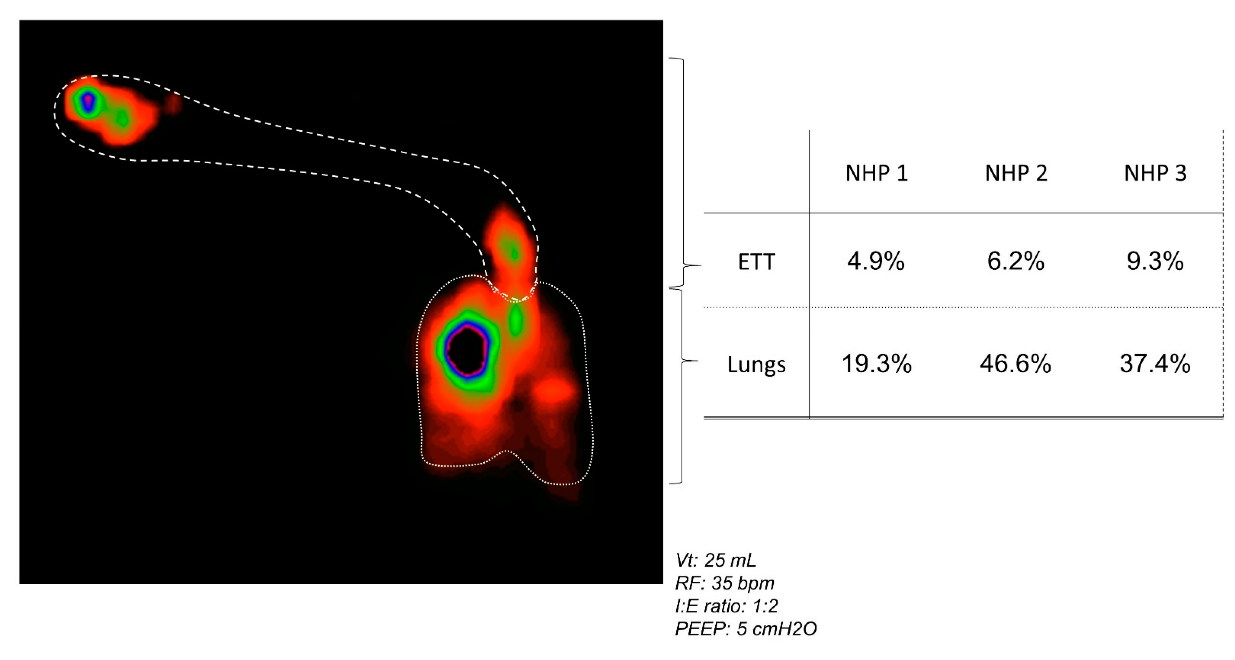 Viruses 15 00602 g008 Viruses 15 00602 g008