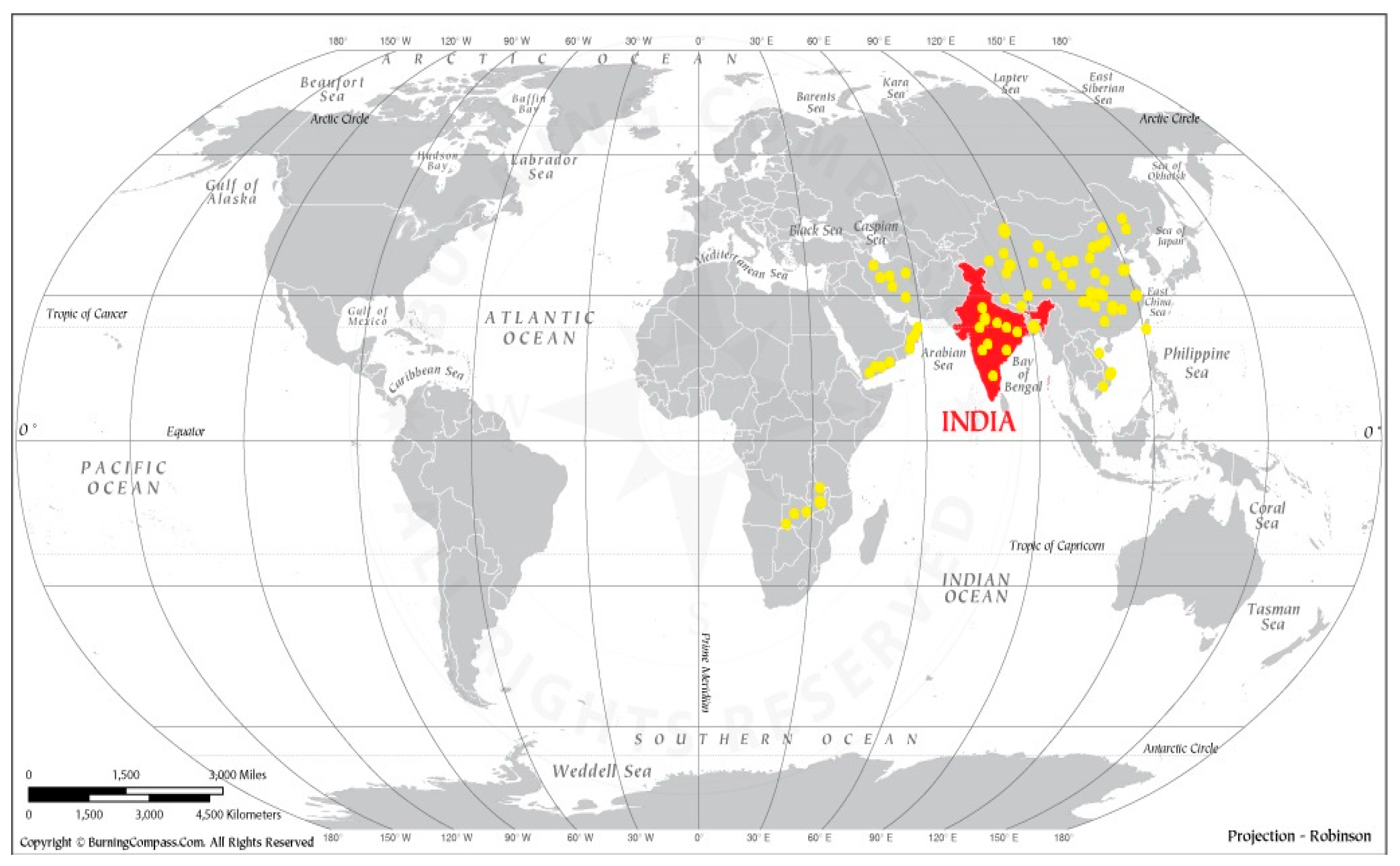 Viruses 15 00604 g002 Viruses 15 00604 g002