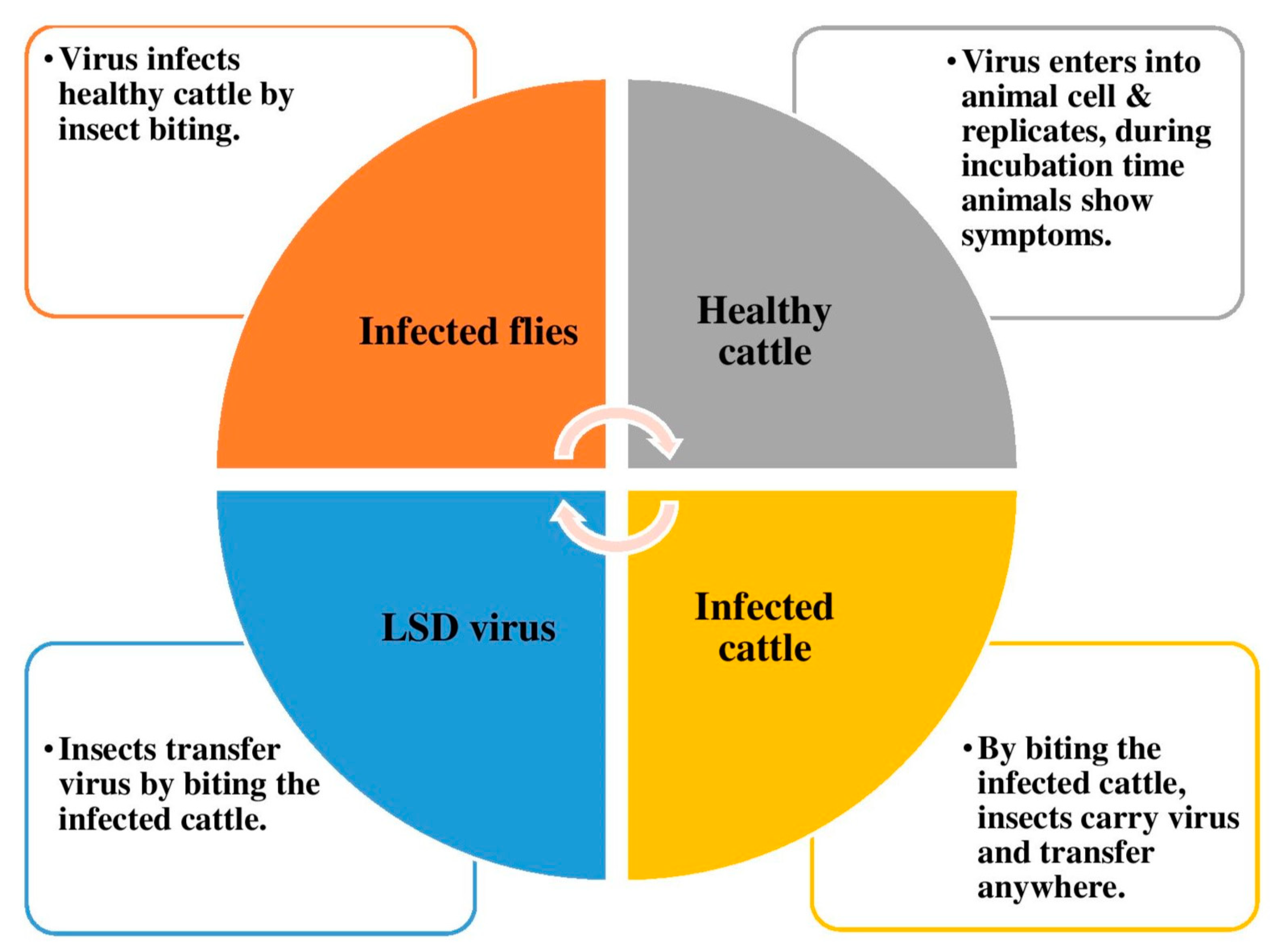 Viruses 15 00604 g004 Viruses 15 00604 g004