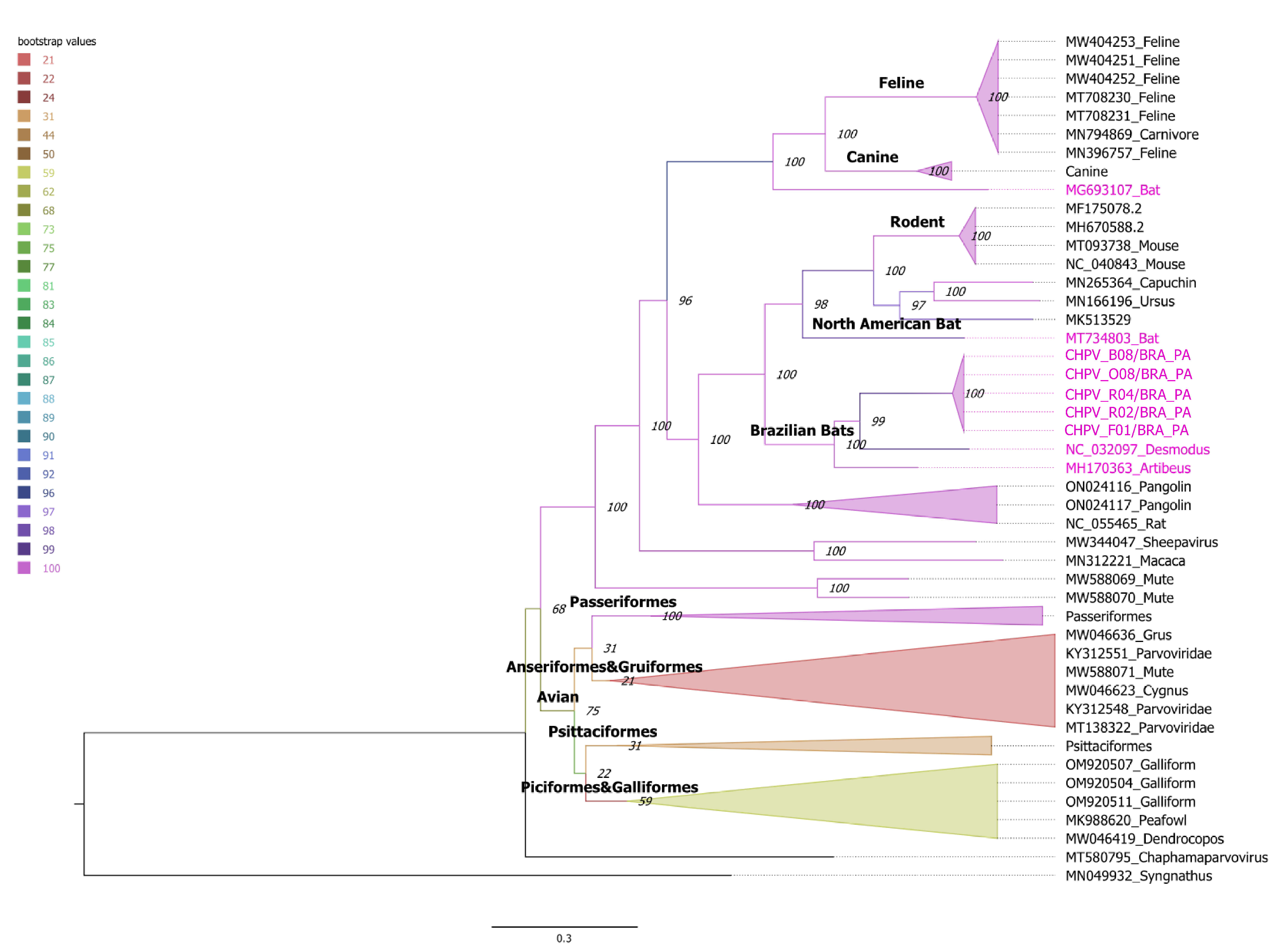 Viruses 15 00606 g004