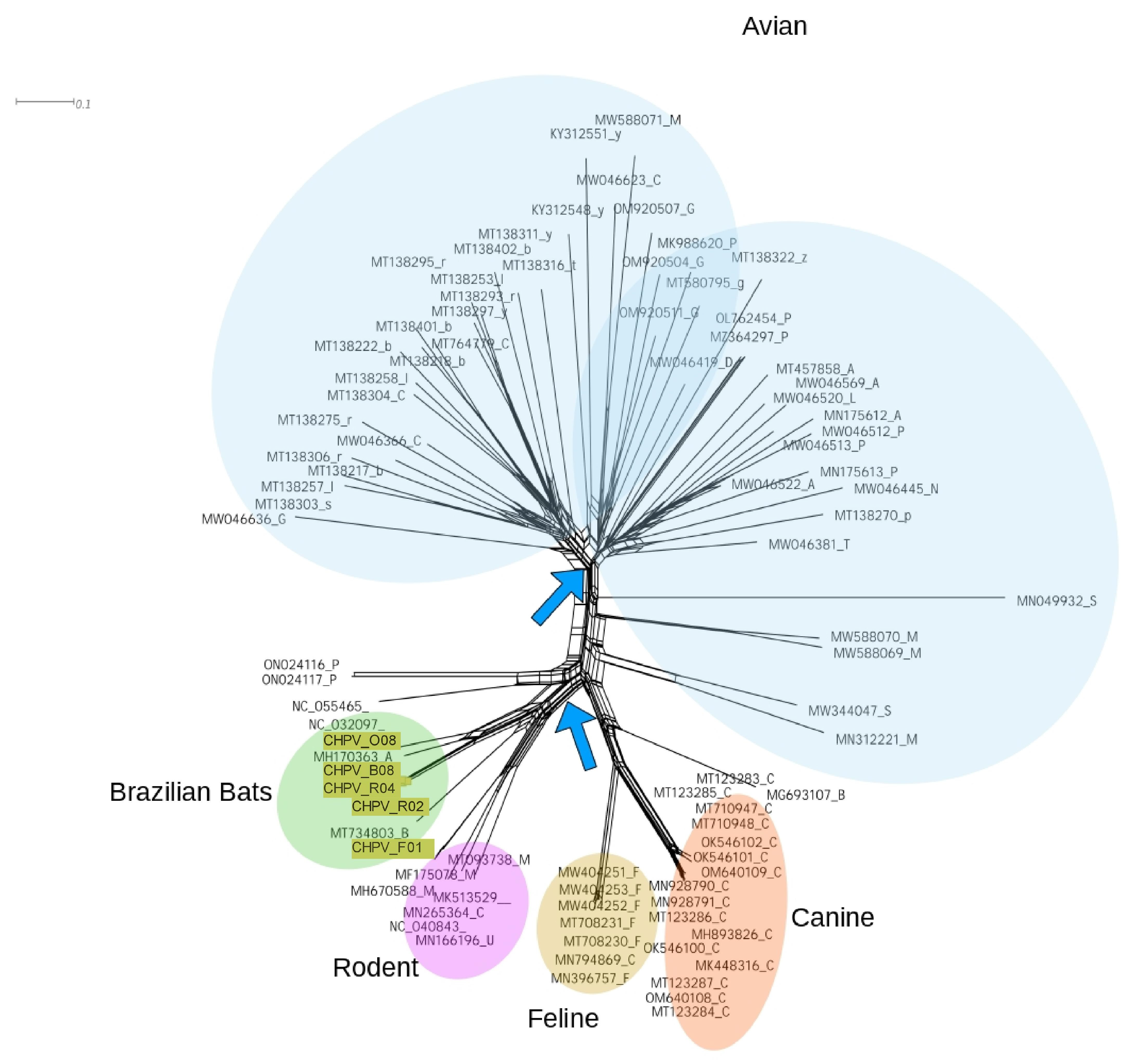 Viruses 15 00606 g005