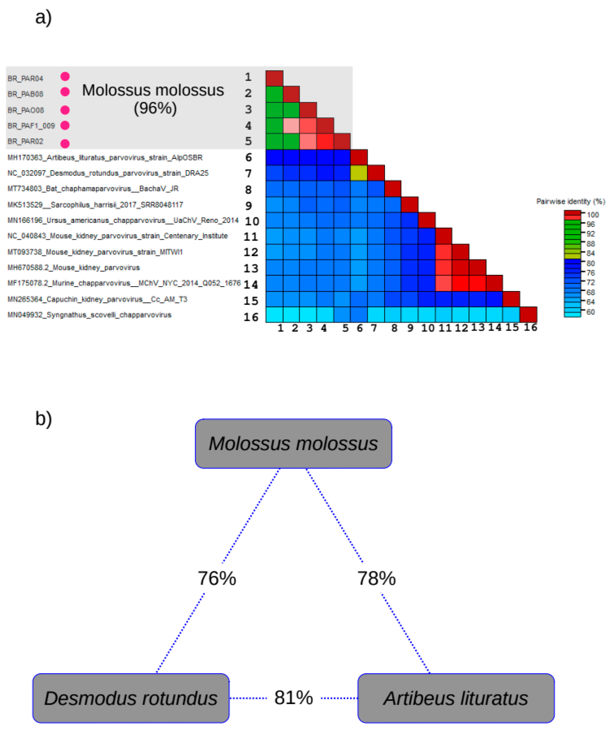 Viruses 15 00606 g006