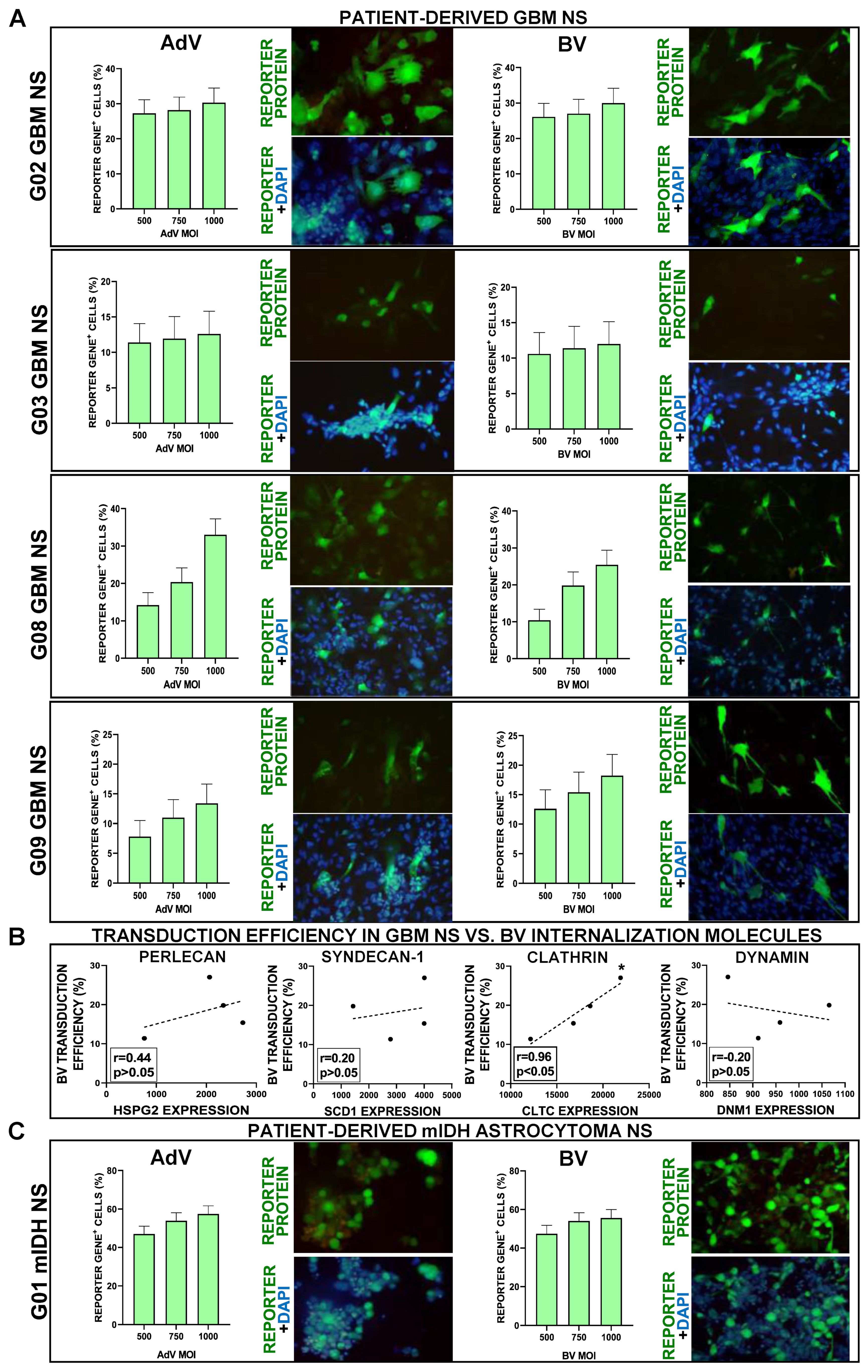 Viruses 15 00608 g002 Viruses 15 00608 g002