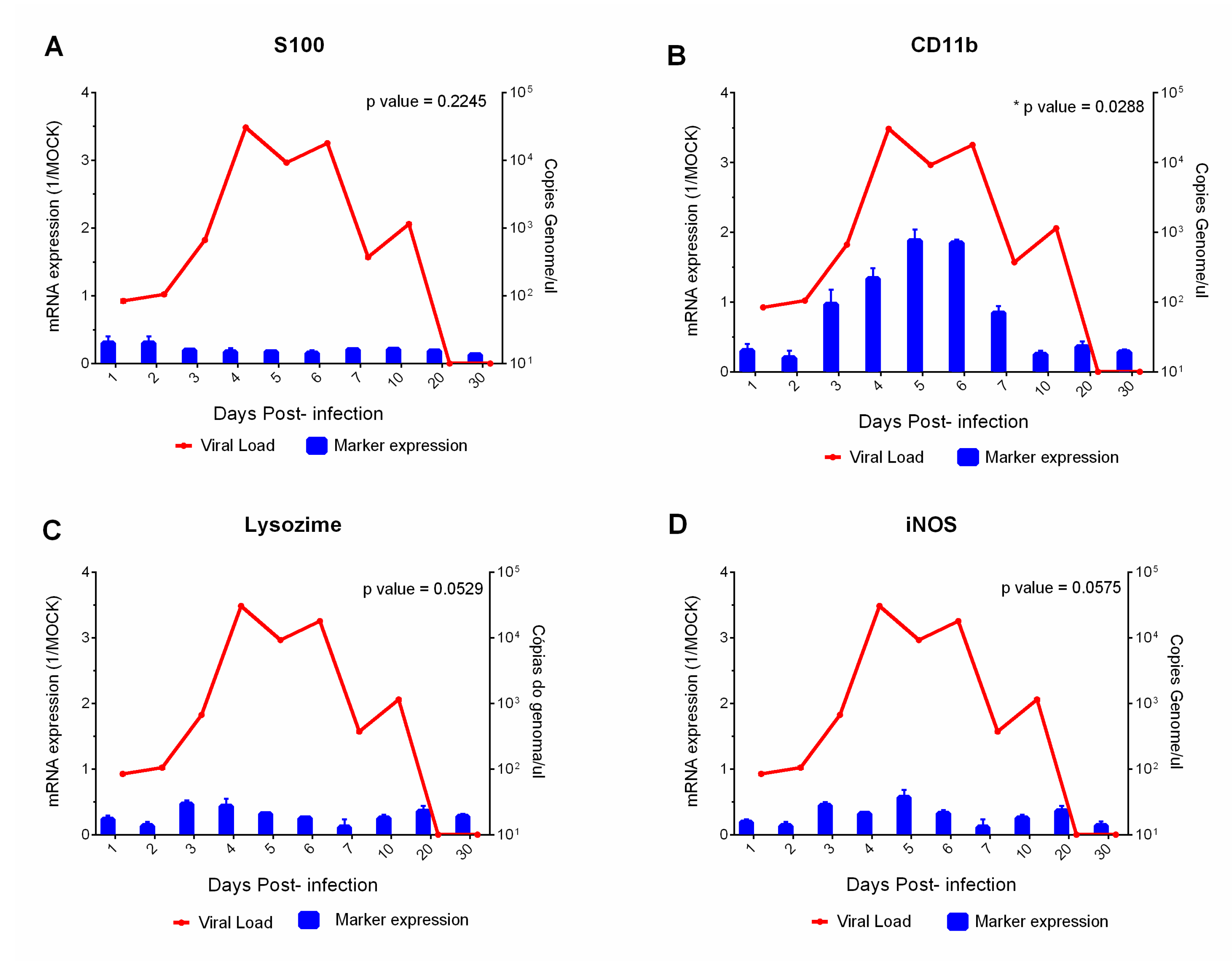 Viruses 15 00613 g004 Viruses 15 00613 g004