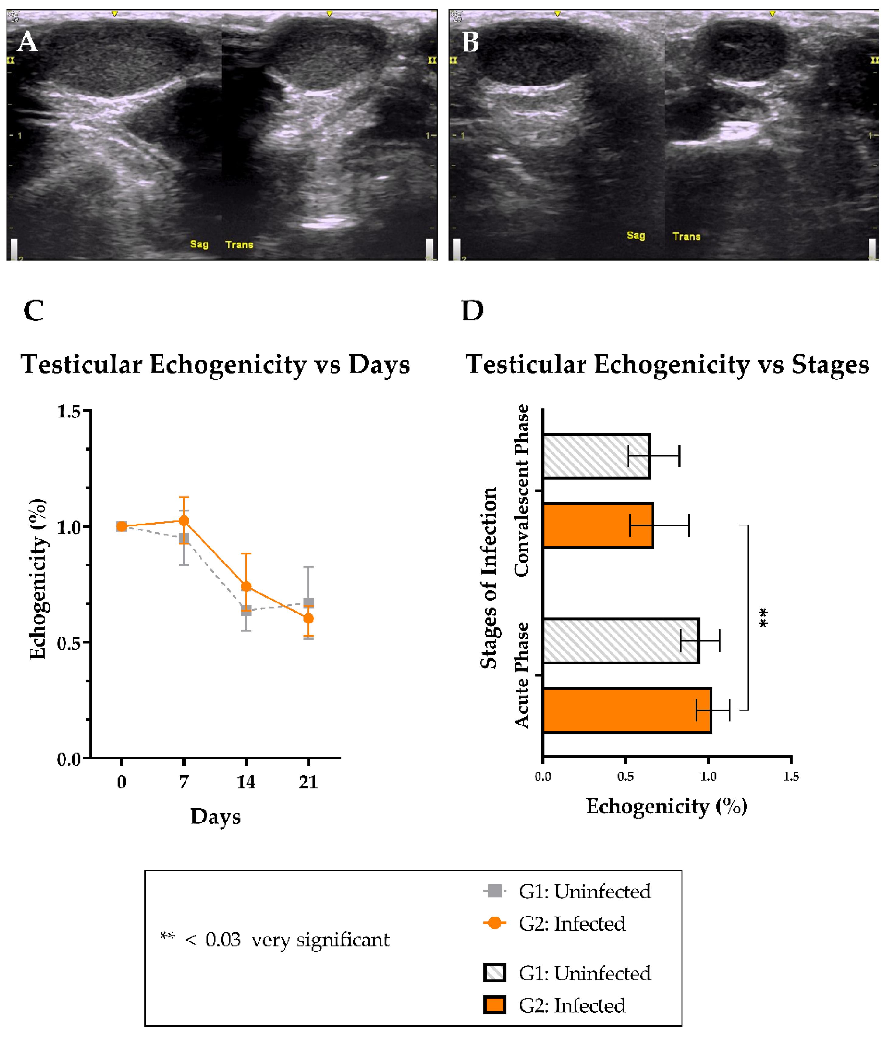 Viruses 15 00615 g003