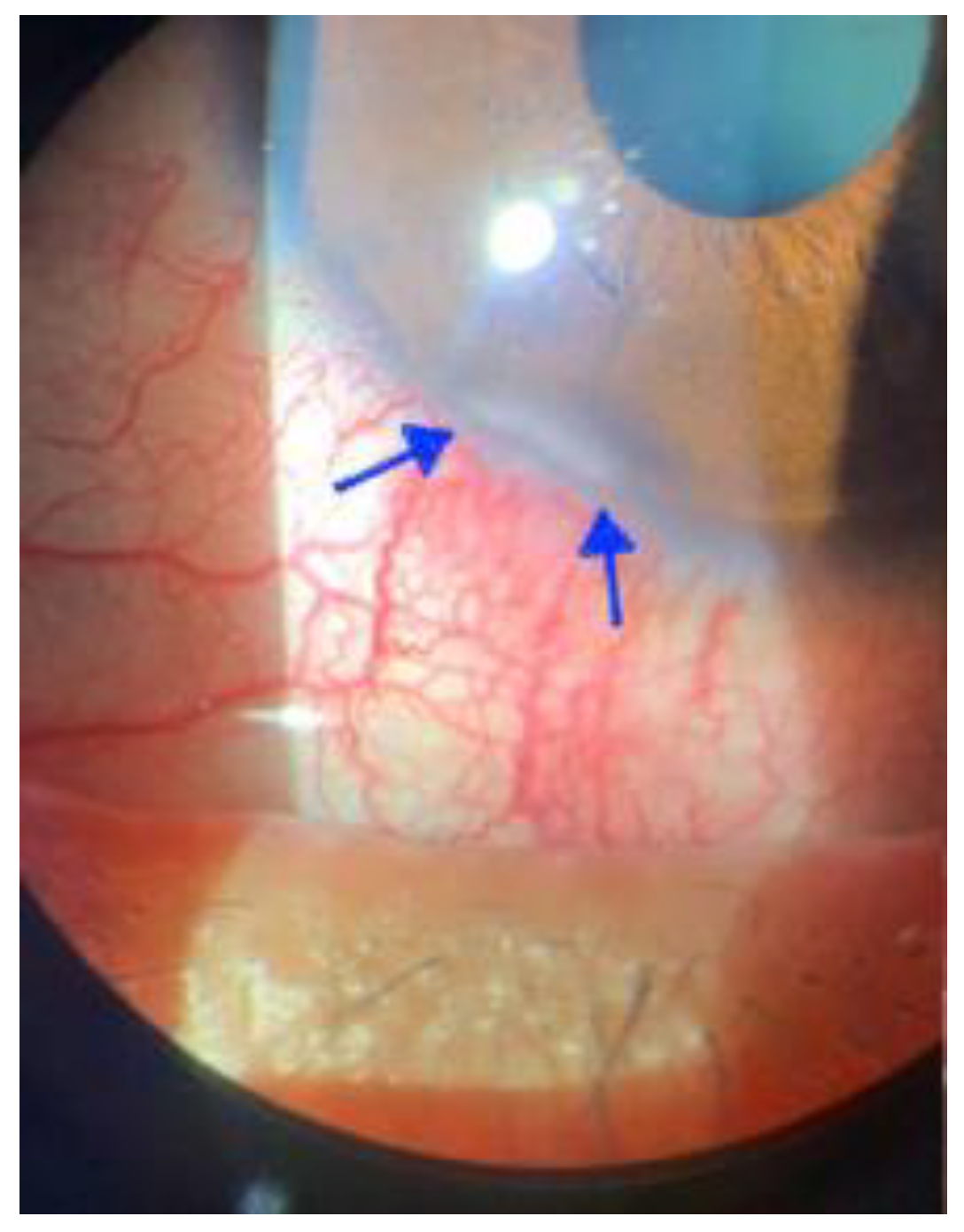 Viruses 15 00616 g002 Viruses 15 00616 g002