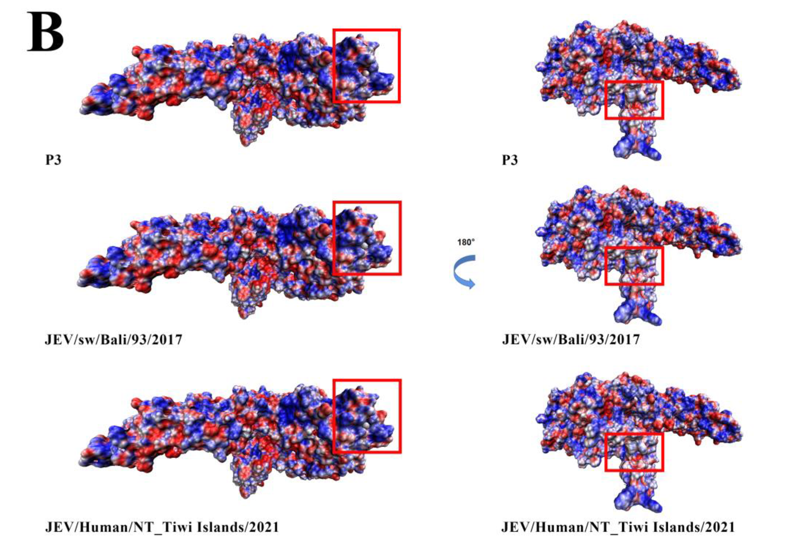 Viruses 15 00626 g009b Viruses 15 00626 g009b